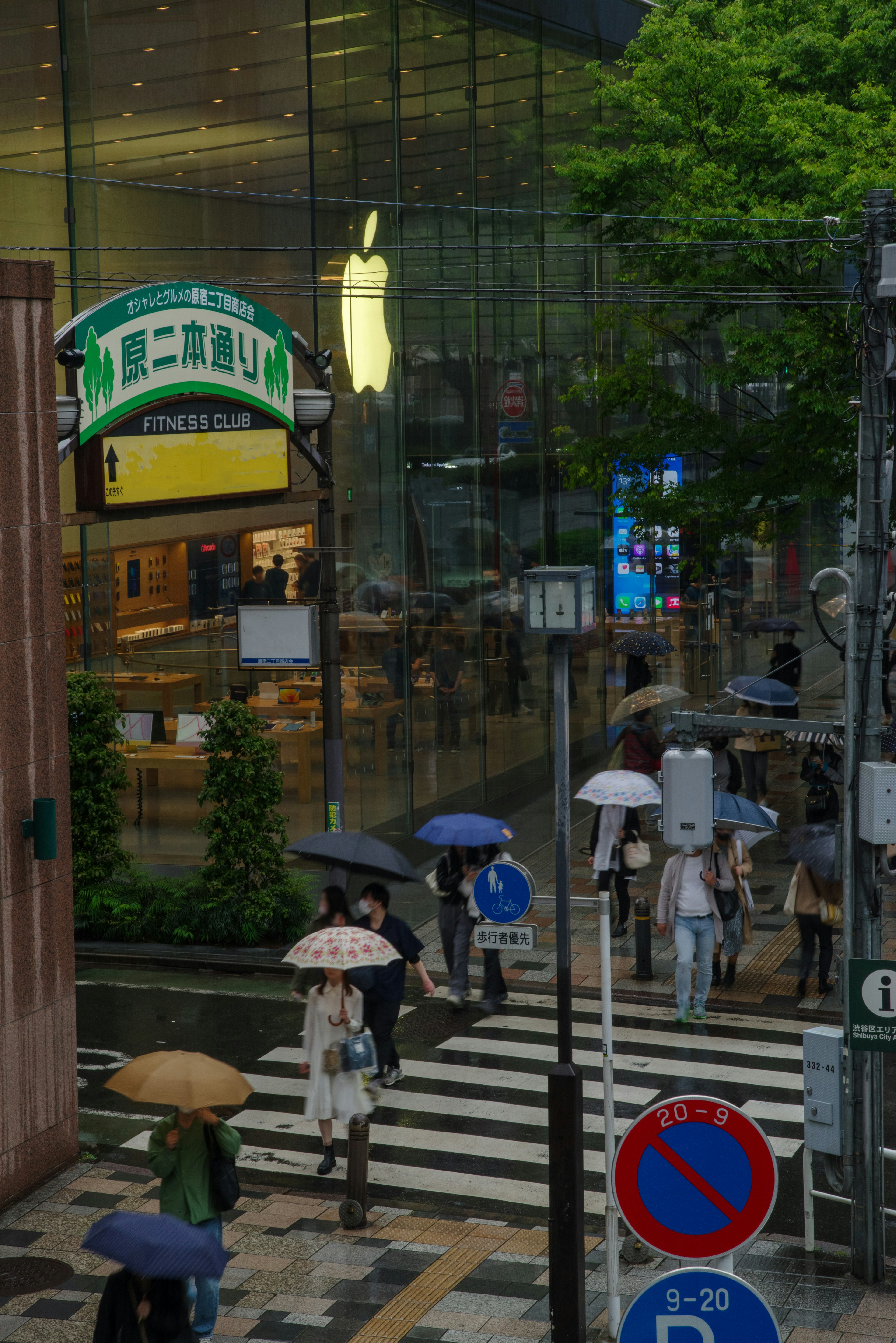 People with umbrellas crossing the street in front of an Apple Store on a rainy day