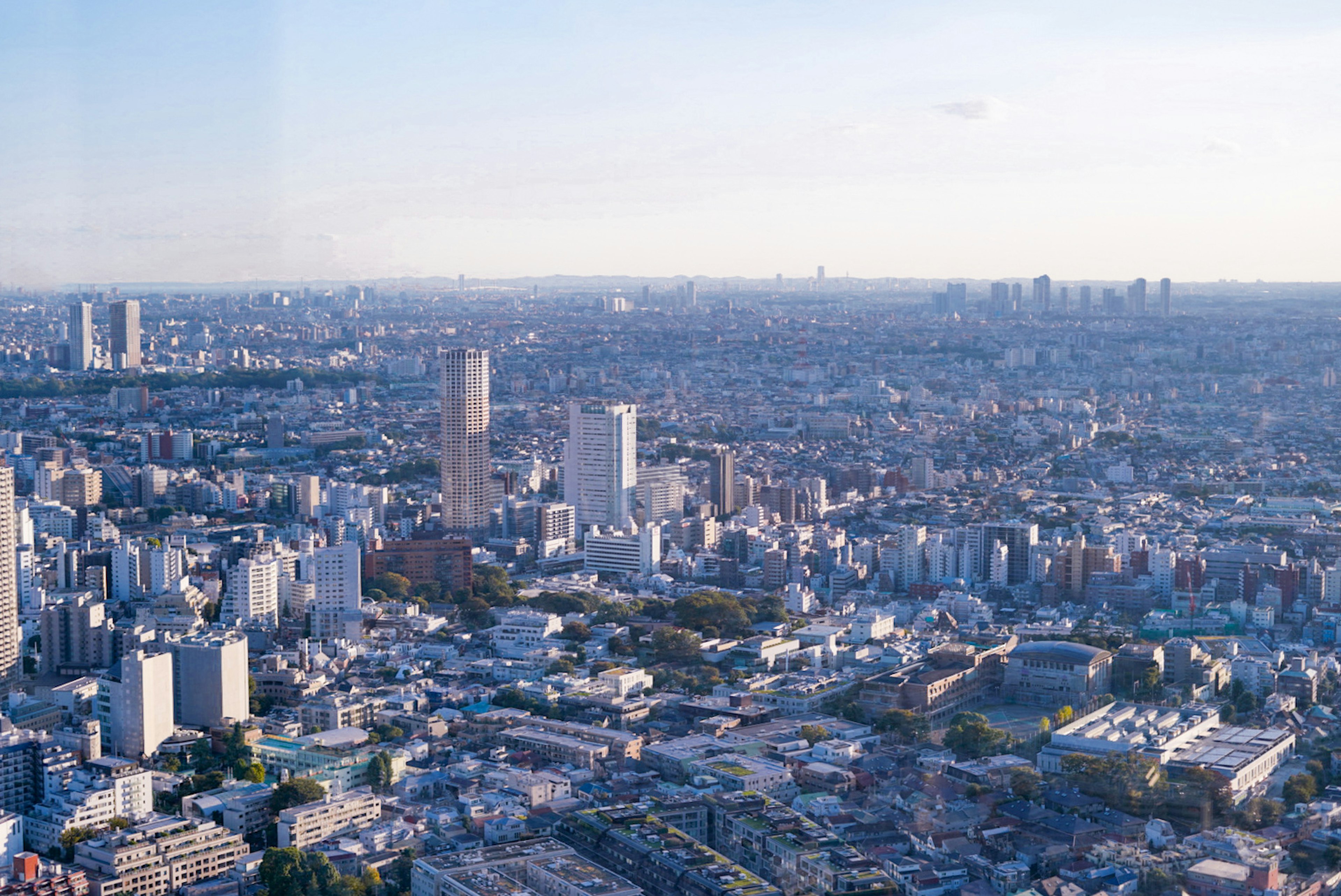 東京の広大な都市景観のパノラマビュー