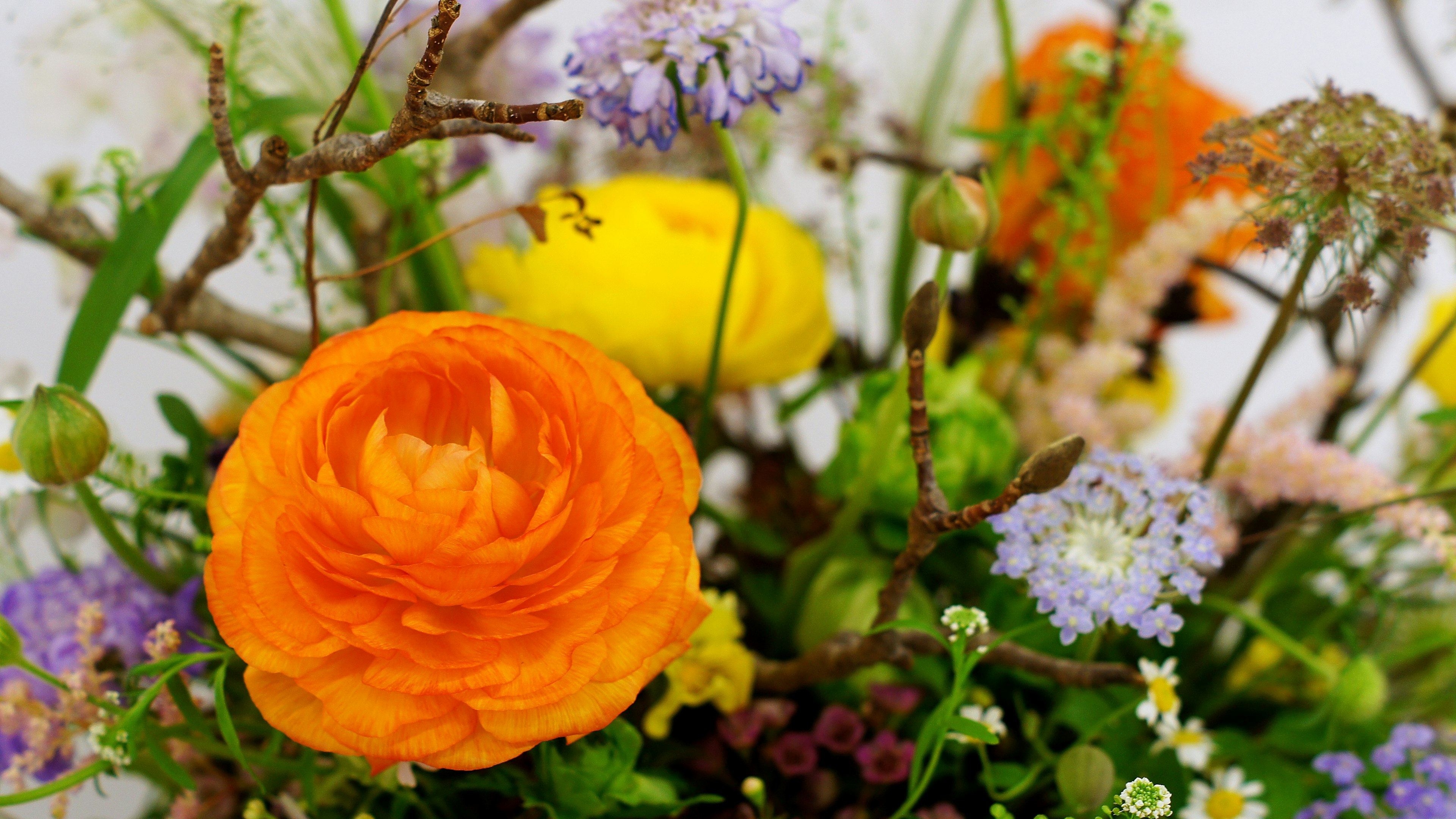 Close-up of a colorful bouquet featuring a prominent orange ranunculus