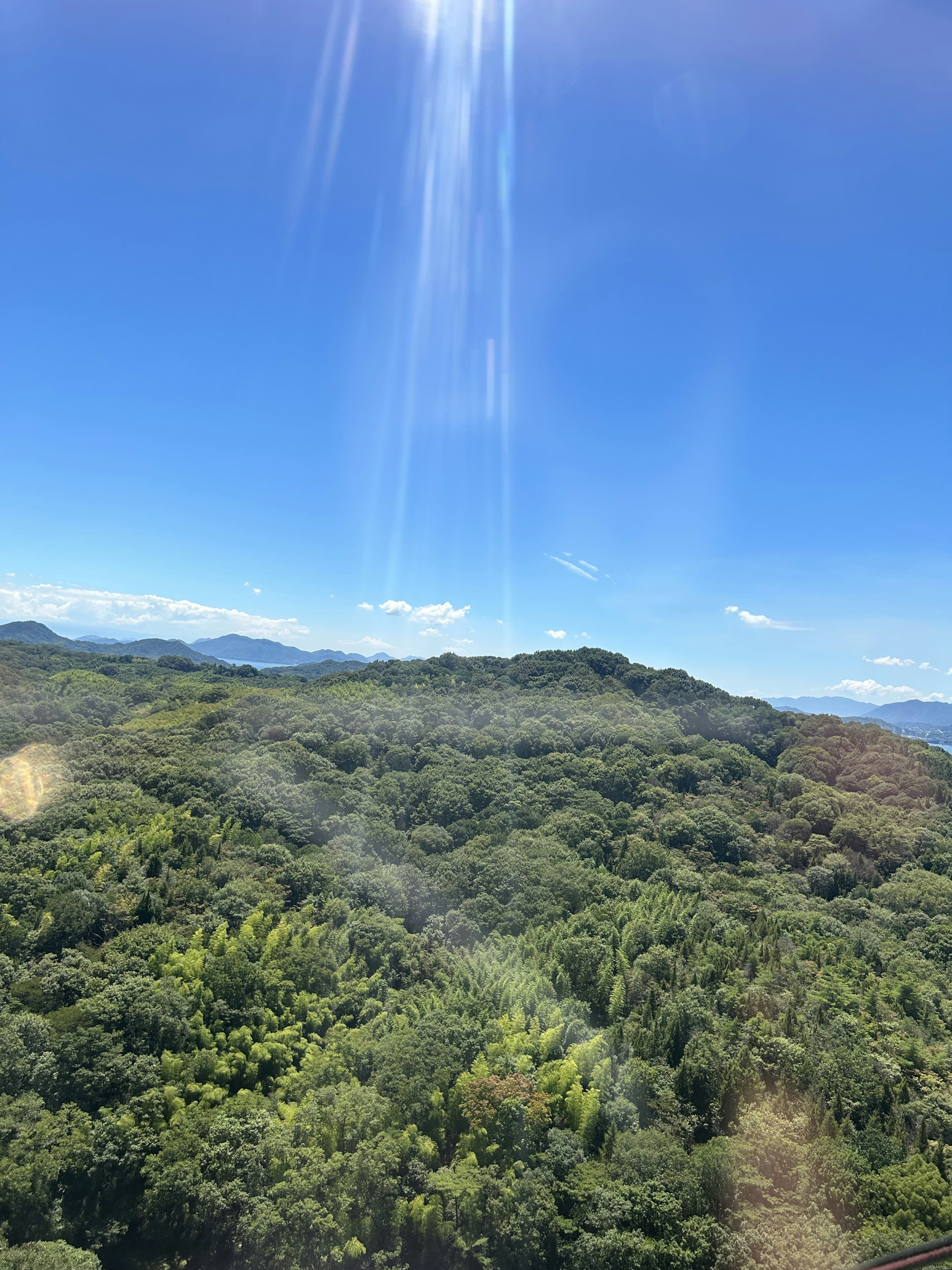 青空と緑豊かな森林の眺め