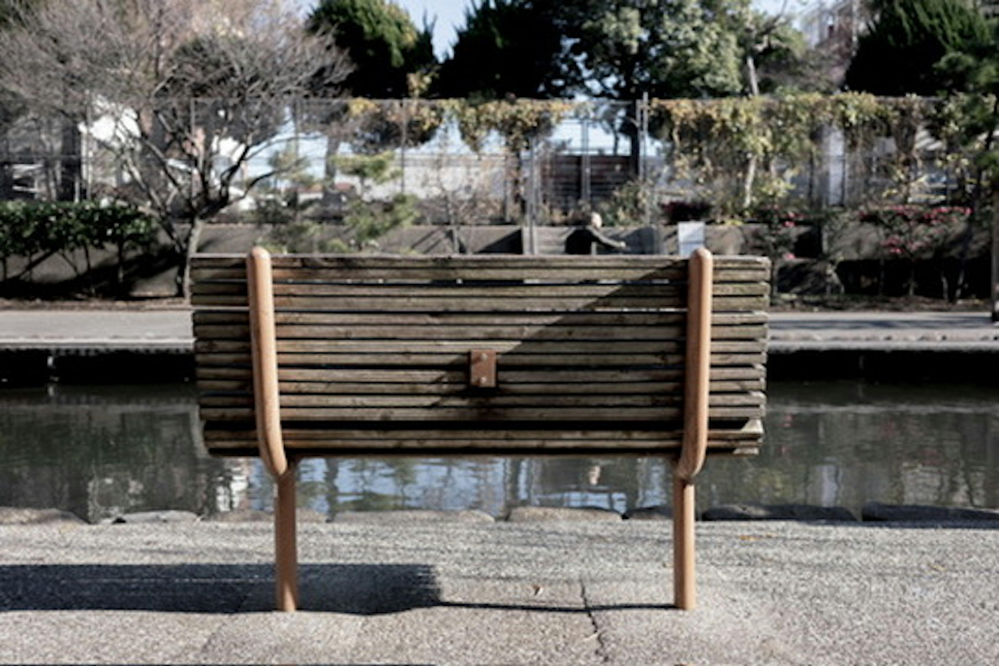 Banca de madera en un parque frente a un cuerpo de agua con árboles al fondo