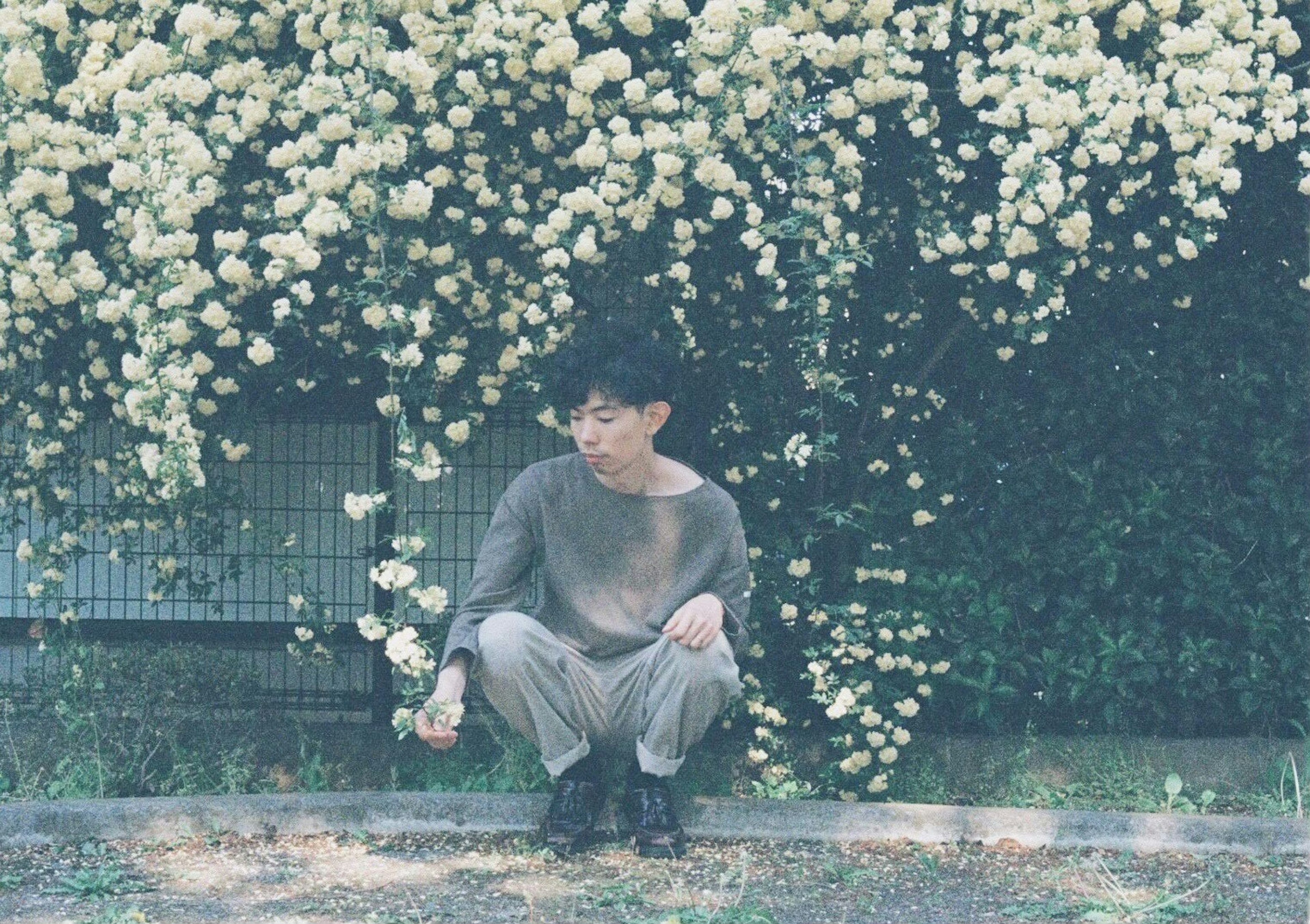 A person squatting among yellow flowers in a green background