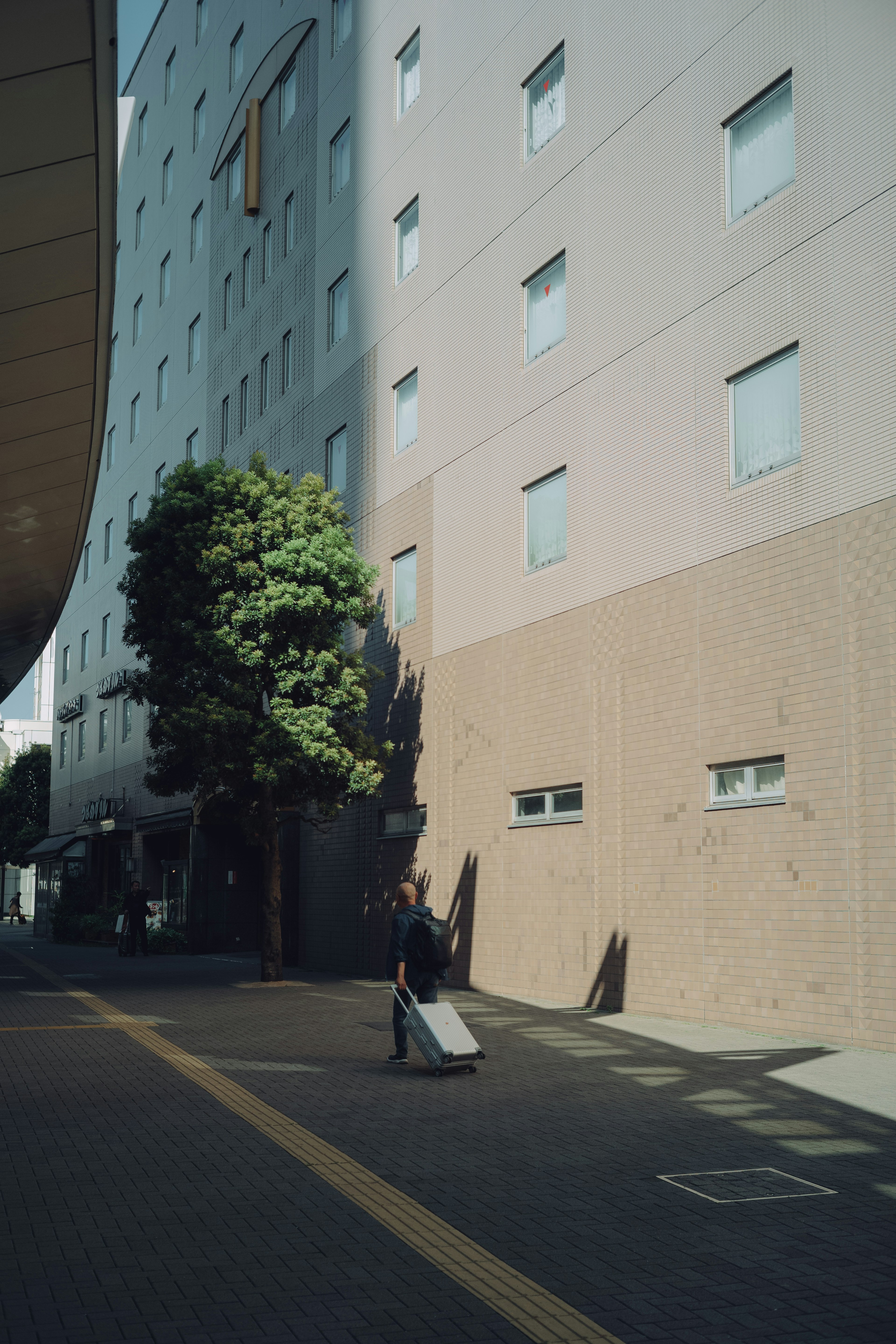 Urban scene featuring a building's side and a tree