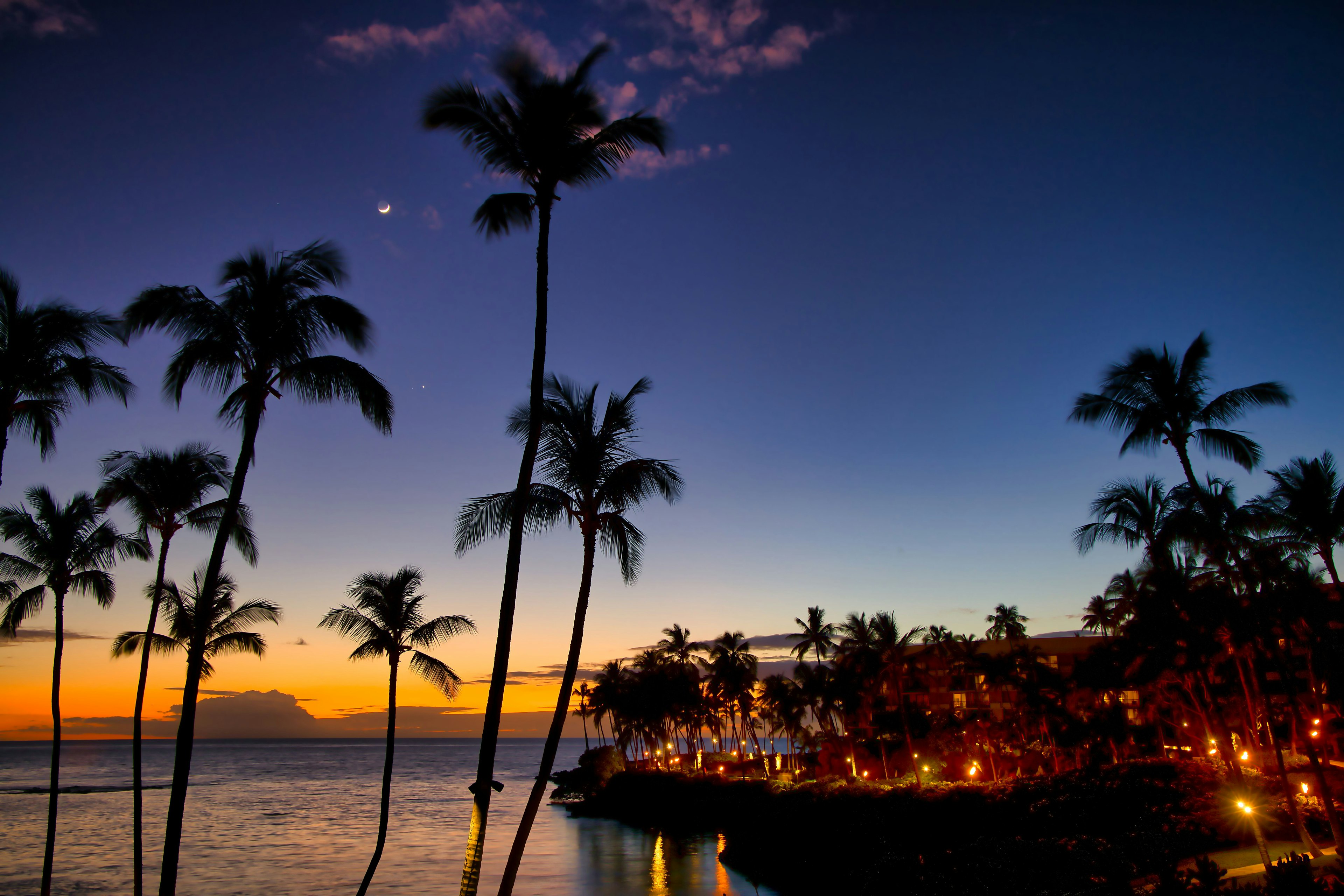 Paysage magnifique avec des palmiers en silhouette au coucher du soleil sur l'océan