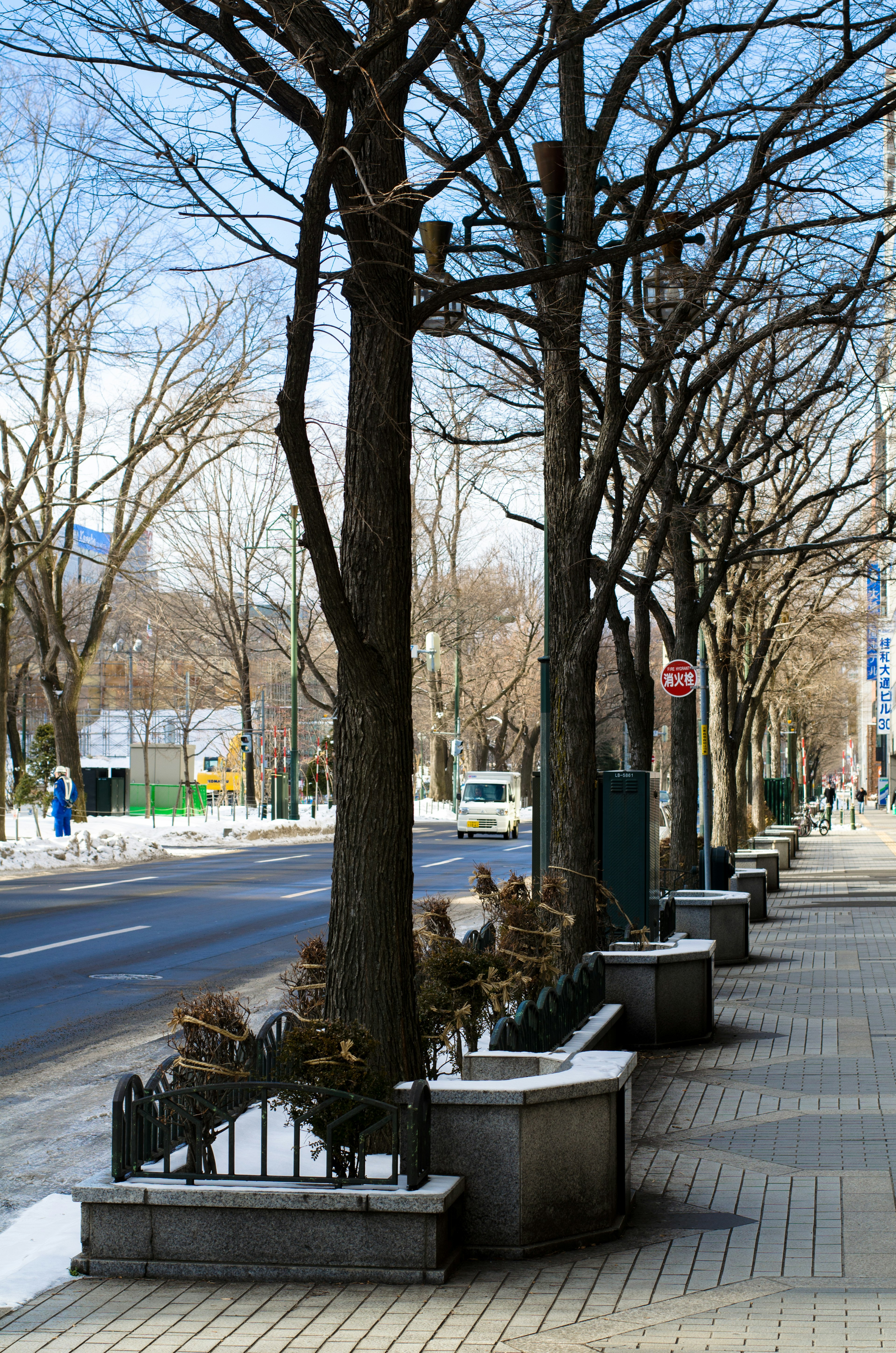 Paisaje urbano invernal con árboles desnudos y acera