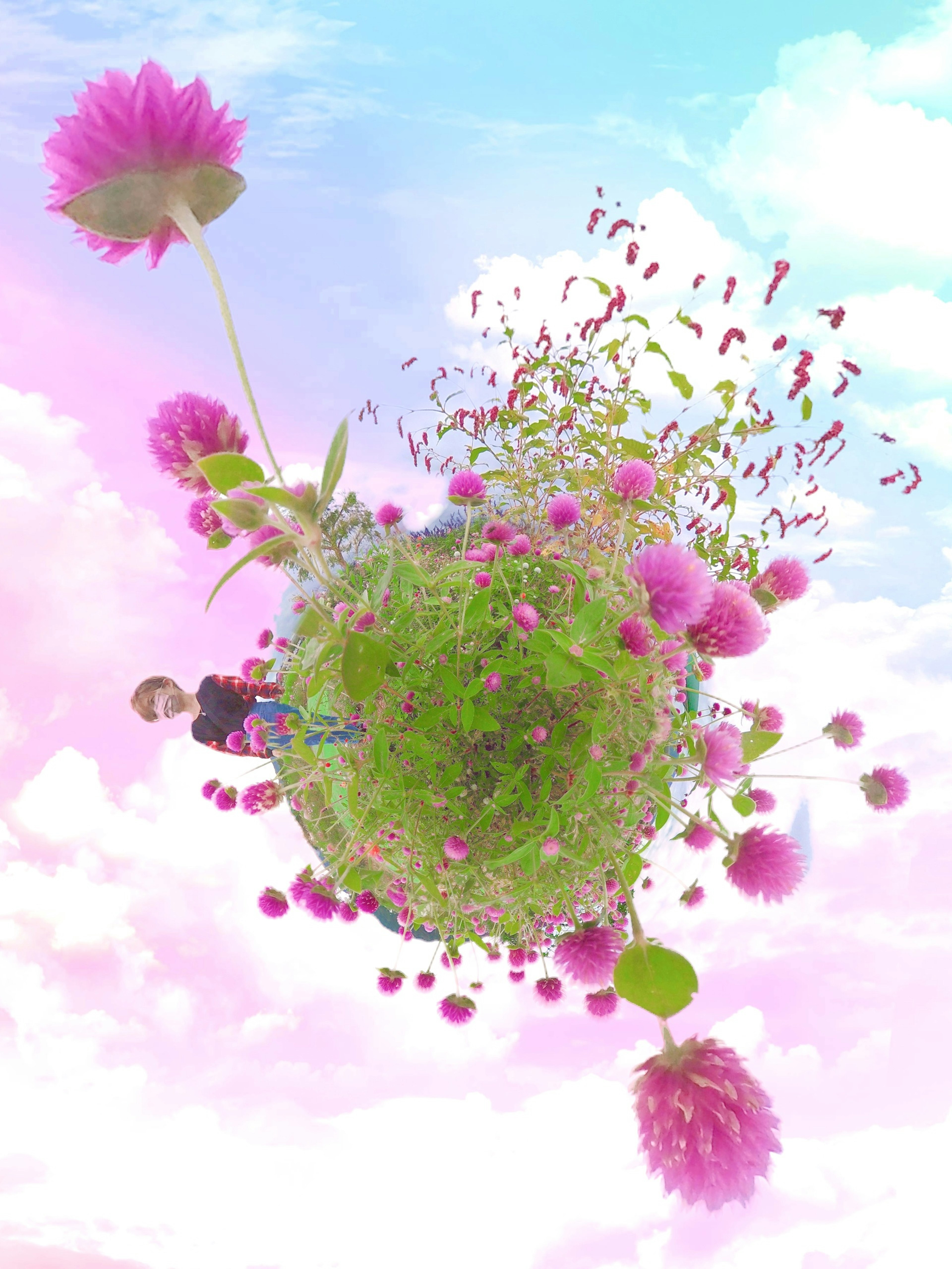 A whimsical planet with pink flowers and green grass surrounded by a colorful sky