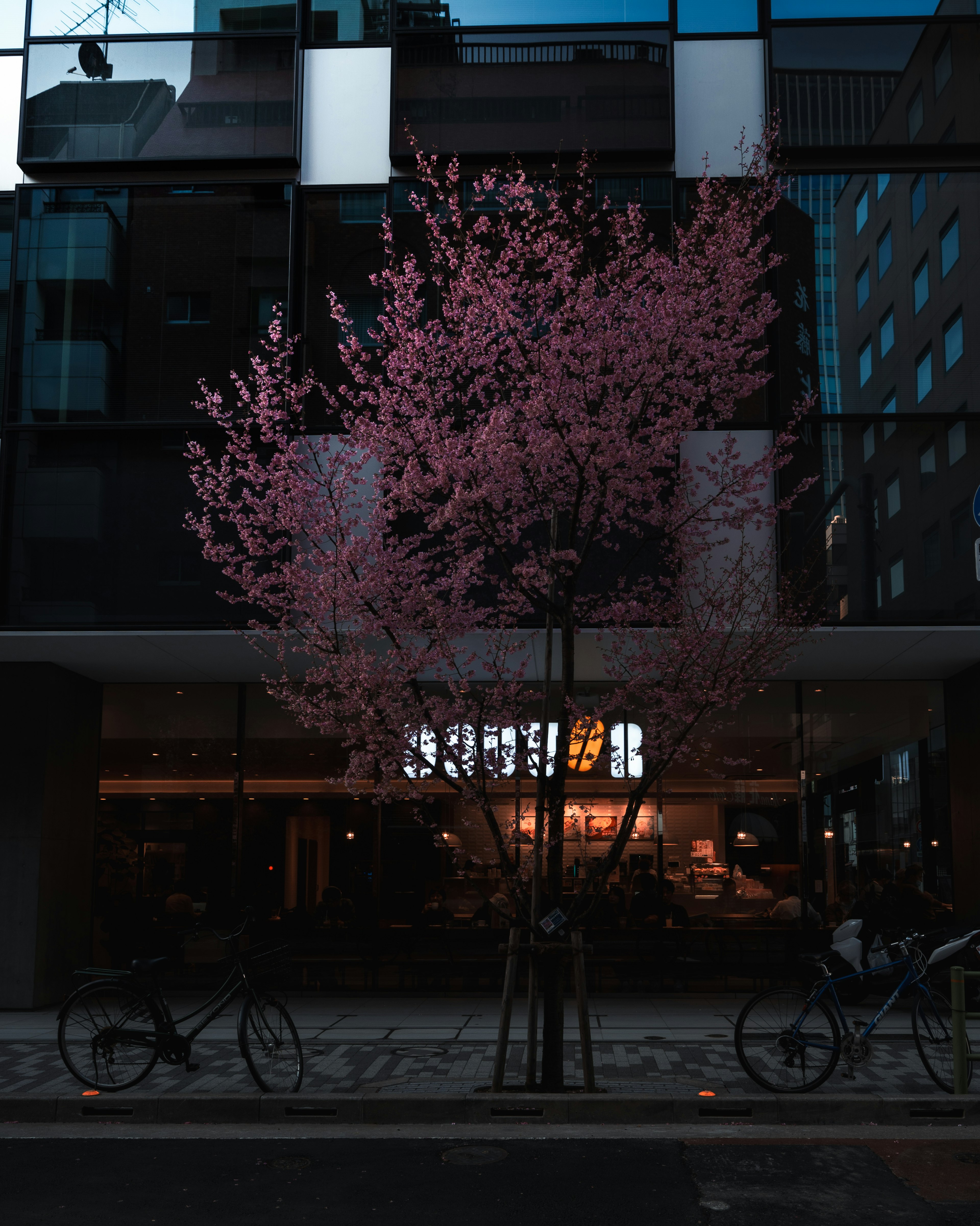 Árbol de cerezo en flor frente a un edificio moderno de noche