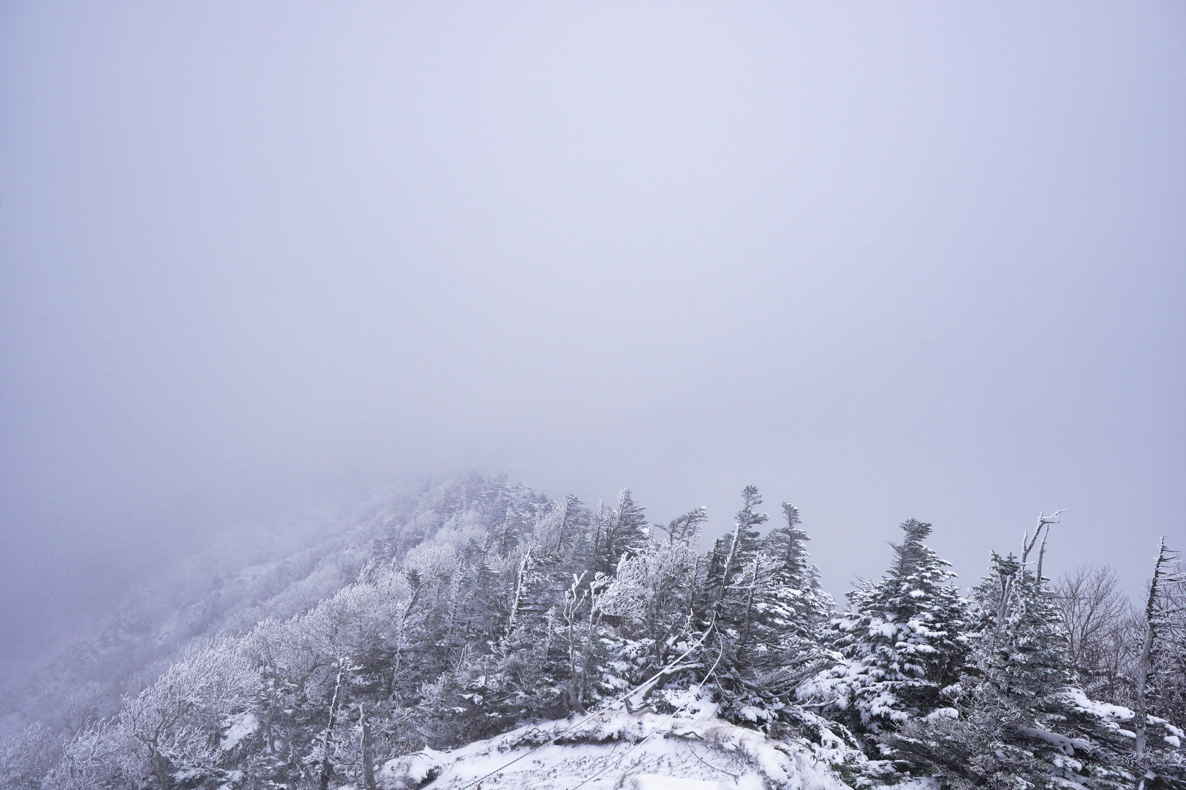 Paesaggio montano coperto di neve avvolto nella nebbia