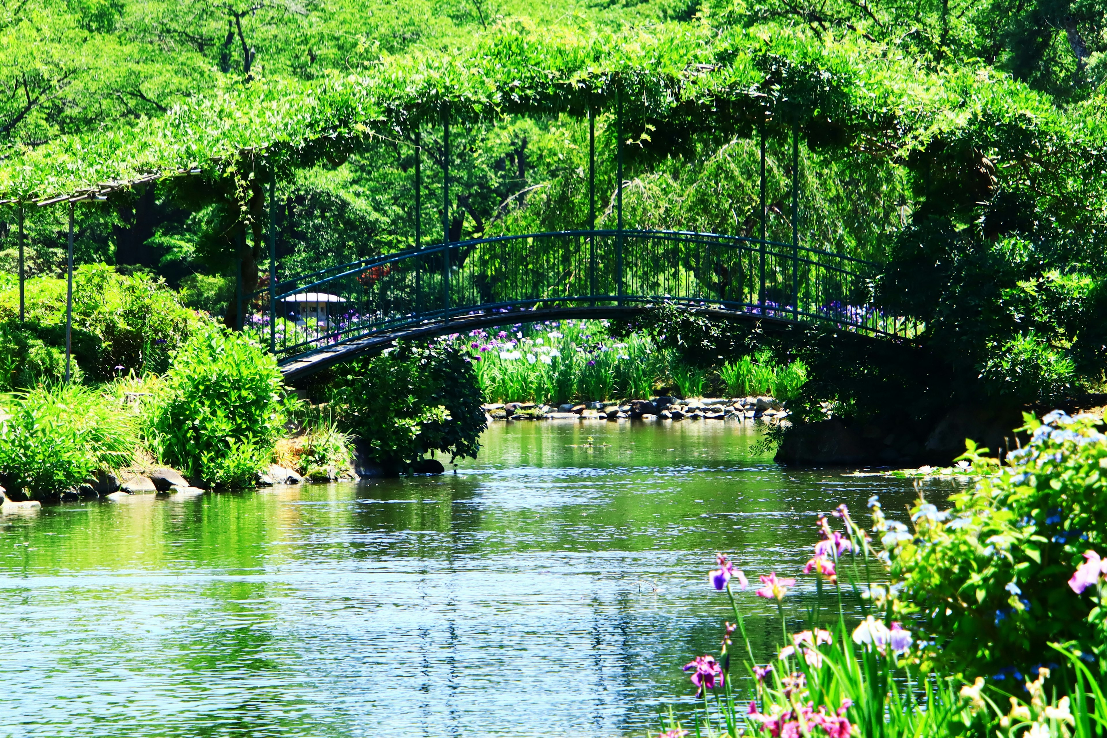 Vue pittoresque d'un pont verdoyant au-dessus d'une rivière calme avec des fleurs