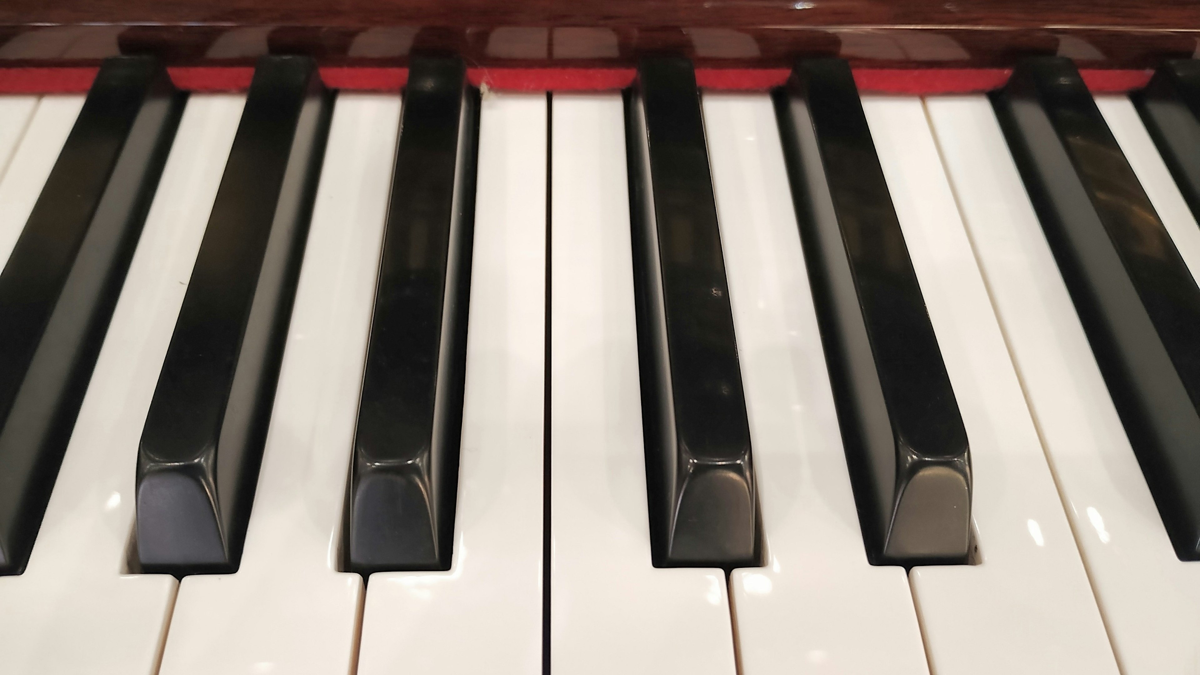 Close-up of piano keys featuring alternating black and white keys