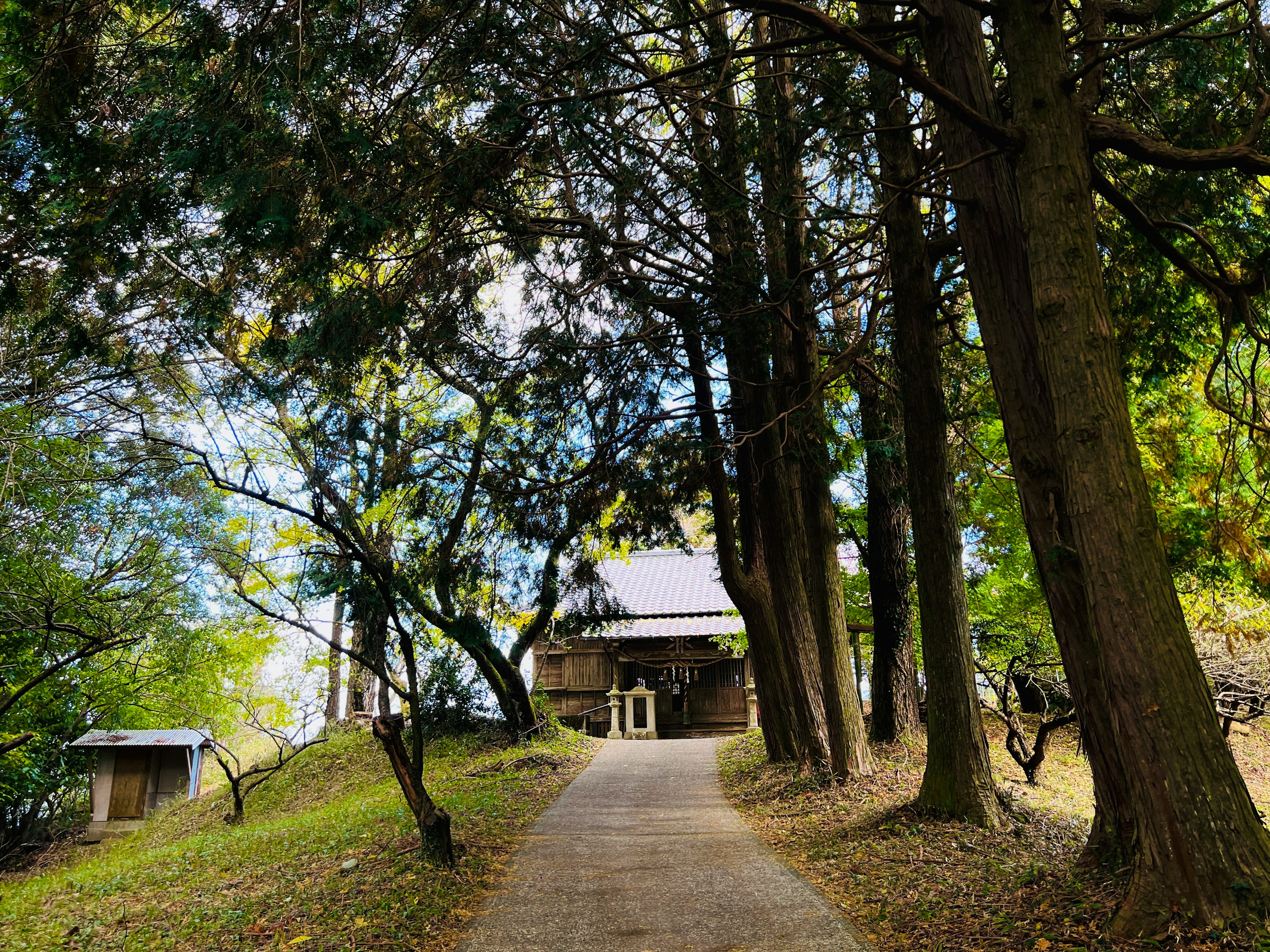 Un chemin pittoresque bordé d'arbres luxuriants menant à un bâtiment traditionnel