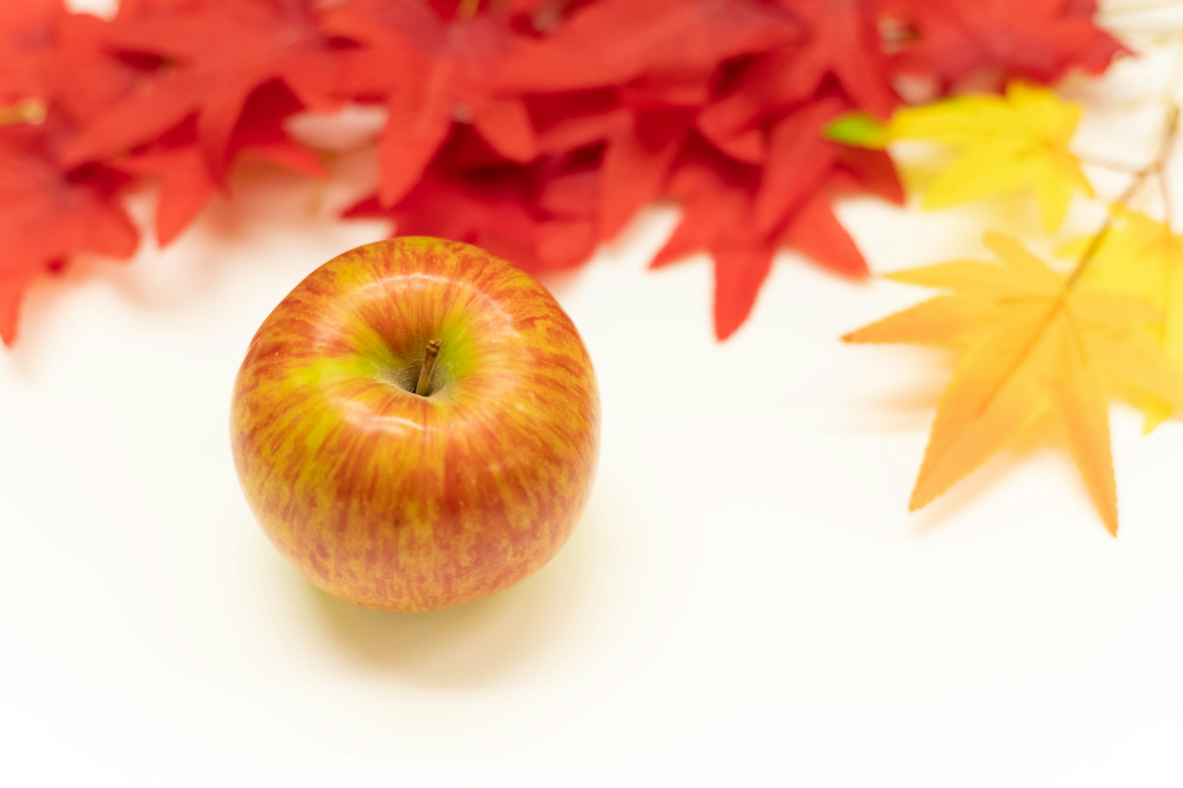 Manzana fresca colocada sobre hojas de otoño rojas y amarillas vibrantes