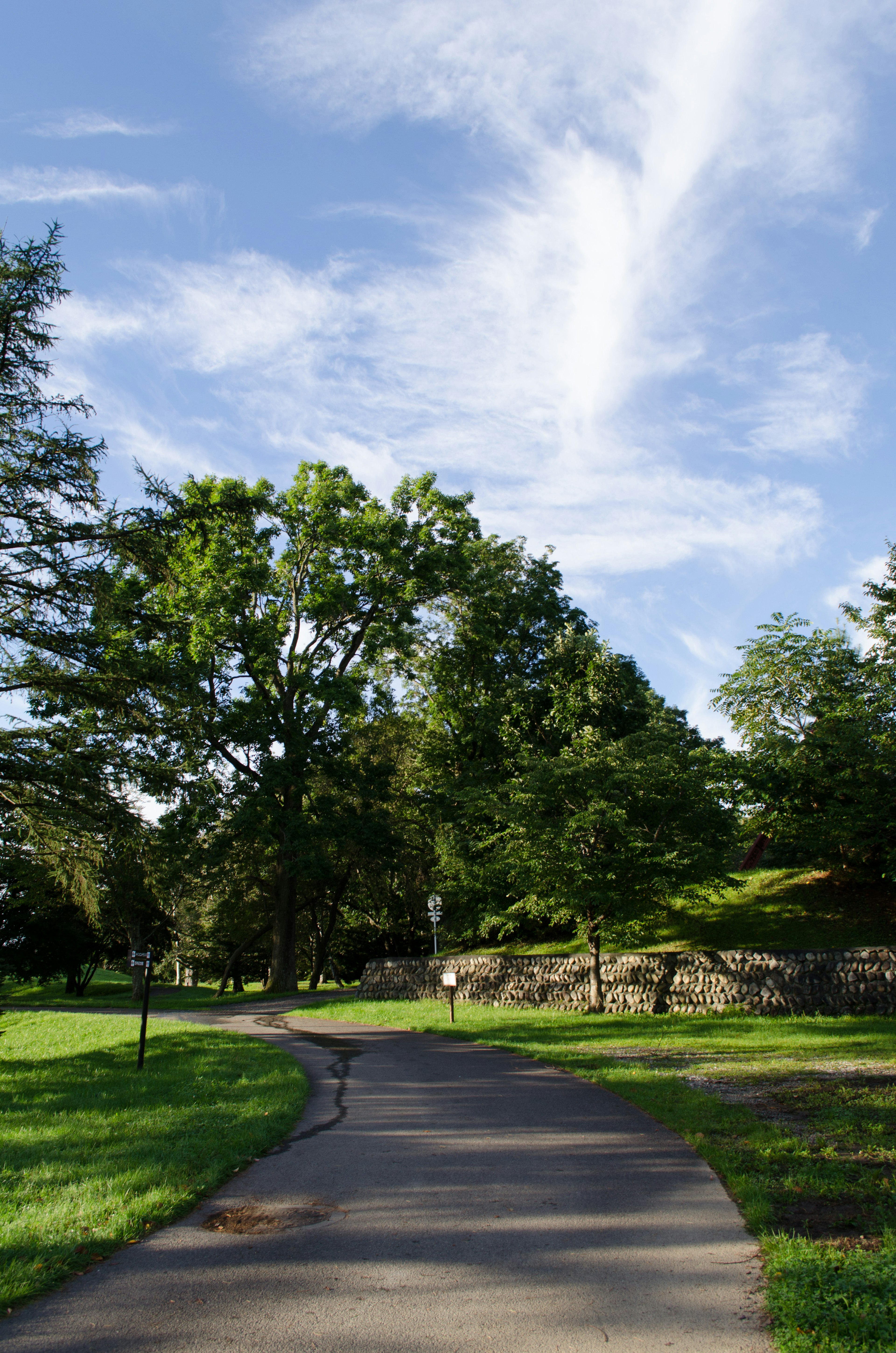 Sentier dans un parc avec des arbres verts et un ciel bleu