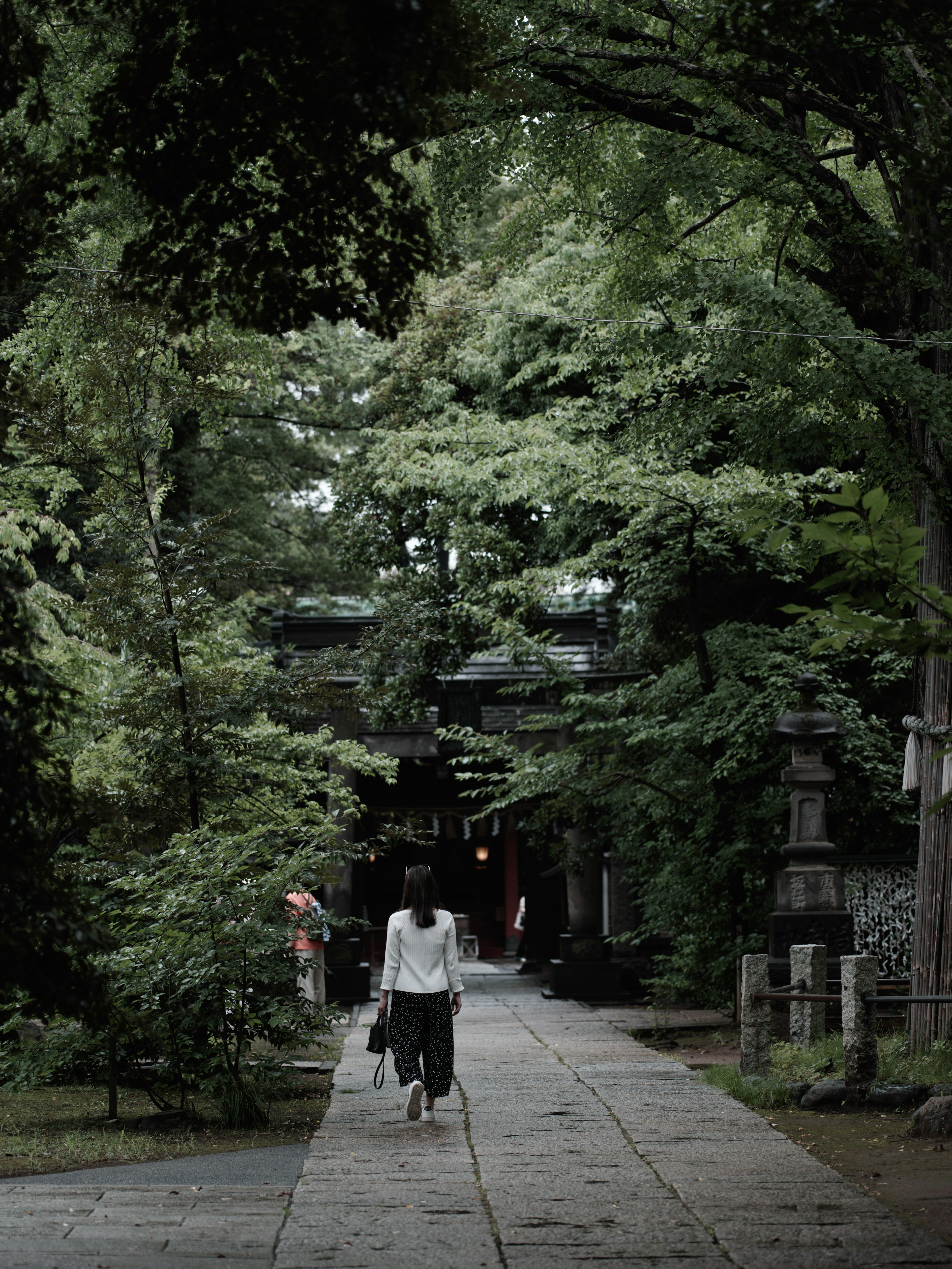 緑豊かな道を歩く女性の後ろ姿が印象的な風景