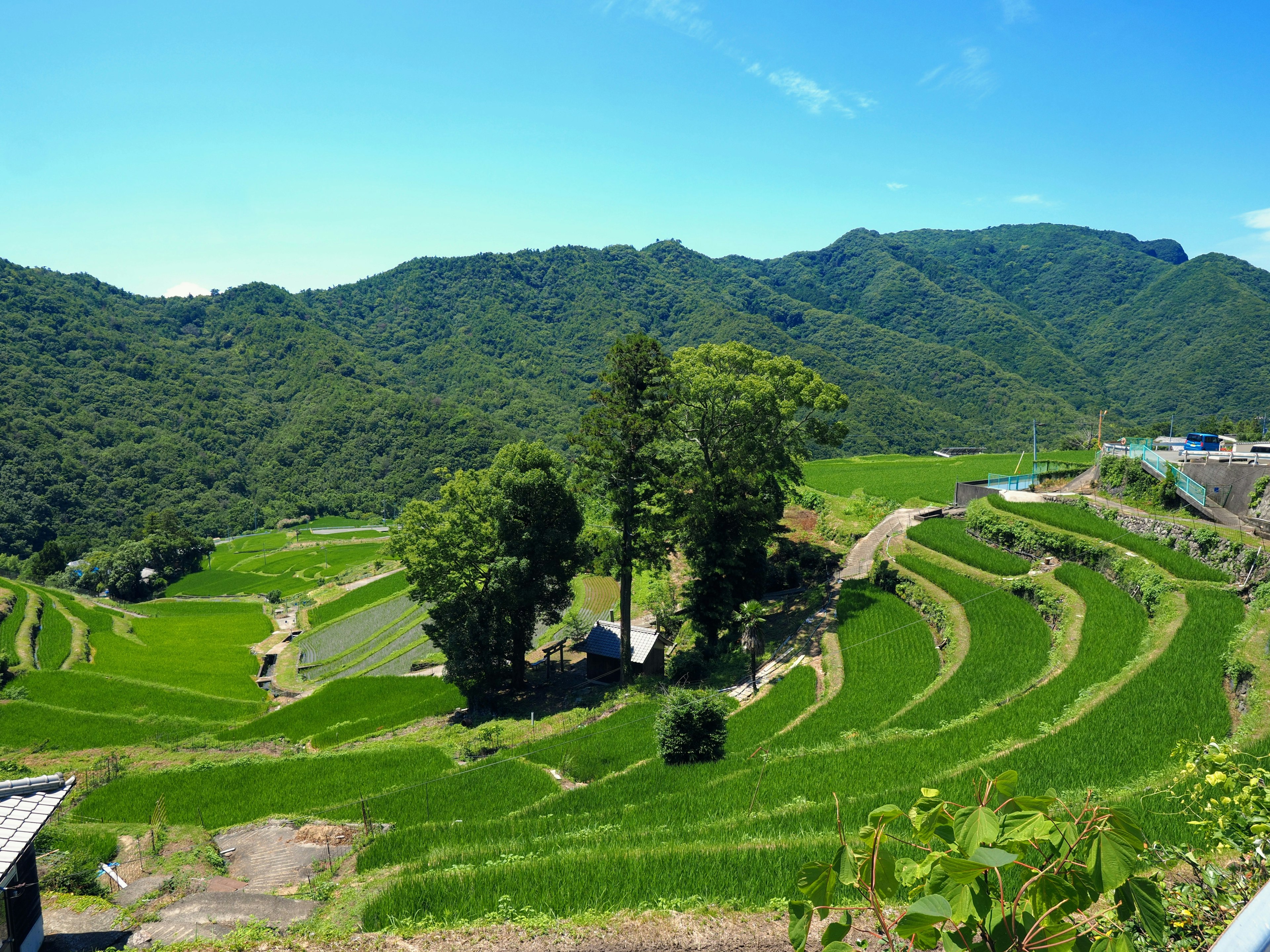 Pemandangan sawah terasering di bawah langit biru