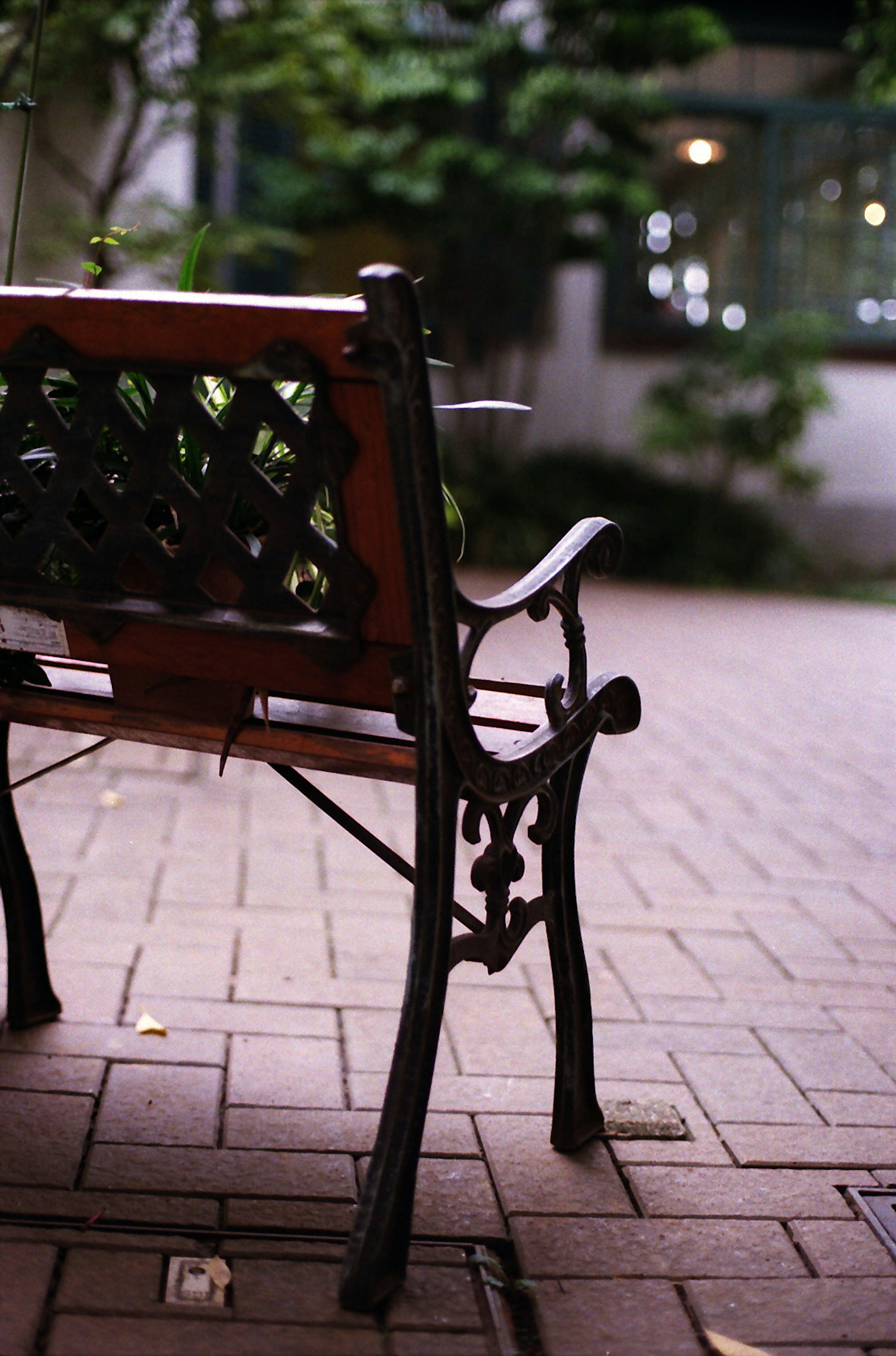 Una fotografía de un banco de parque con un respaldo ornamentado de hierro y un asiento de madera sobre un camino de ladrillos