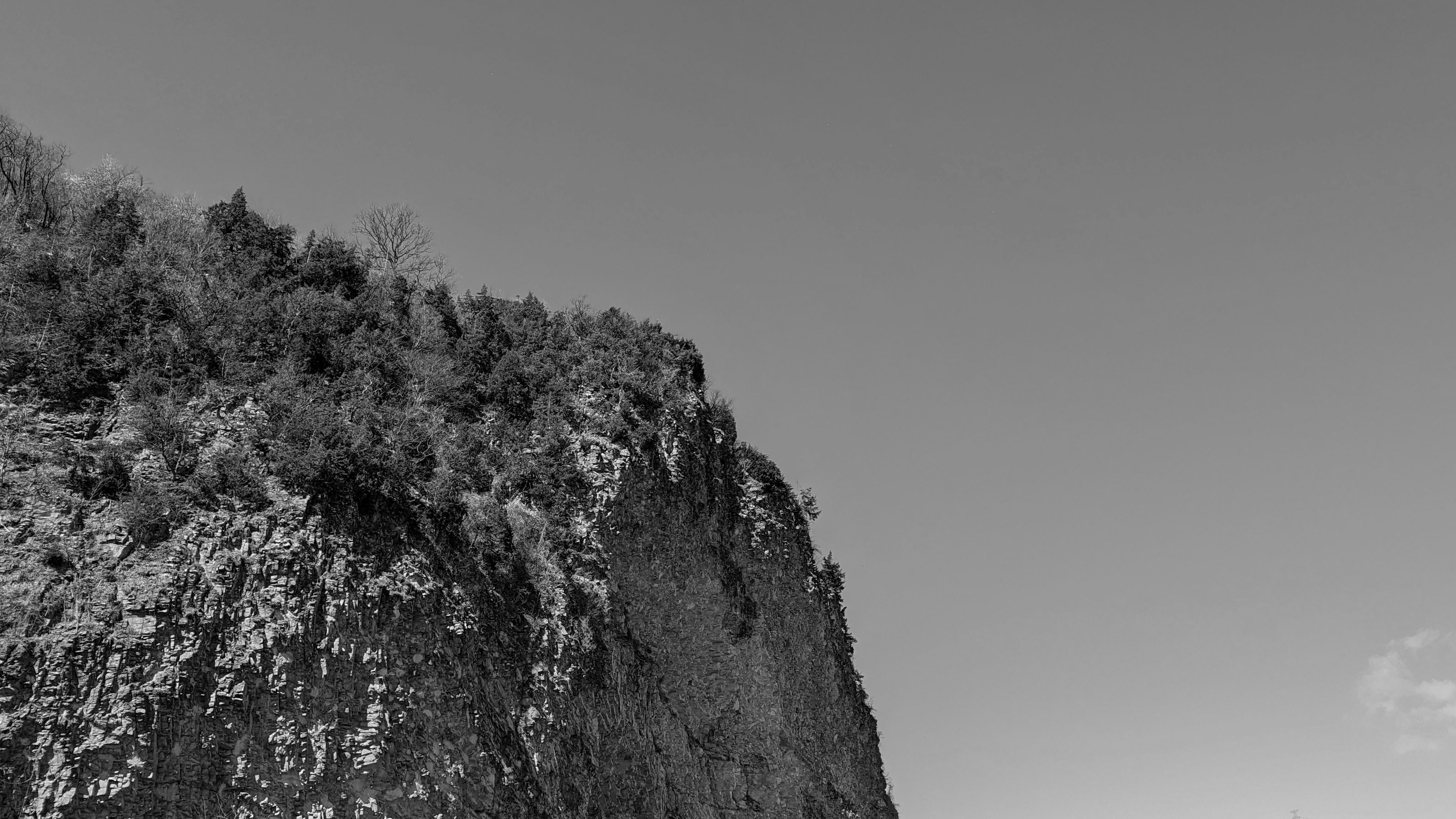 Black and white image of a cliff with greenery and blue sky