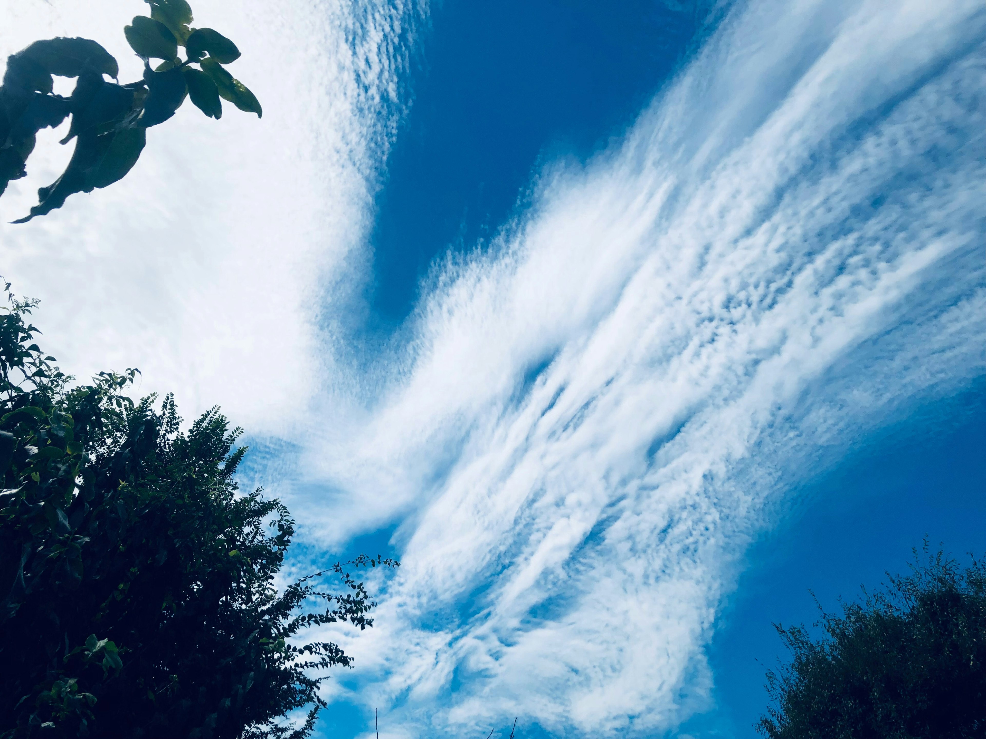 Pemandangan langit biru dengan awan putih