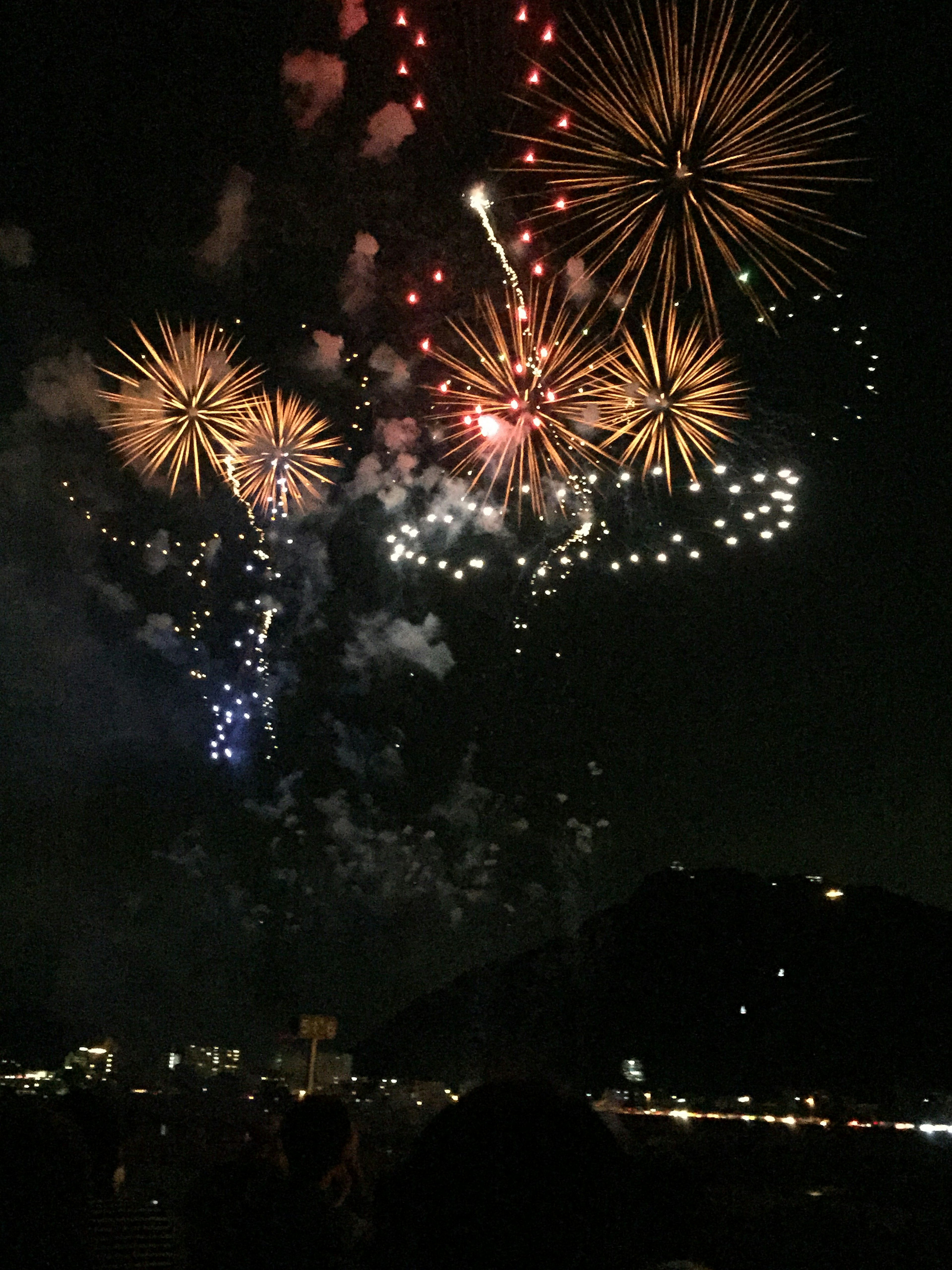 Fuochi d'artificio colorati illuminano il cielo notturno con esplosioni e schemi vivaci