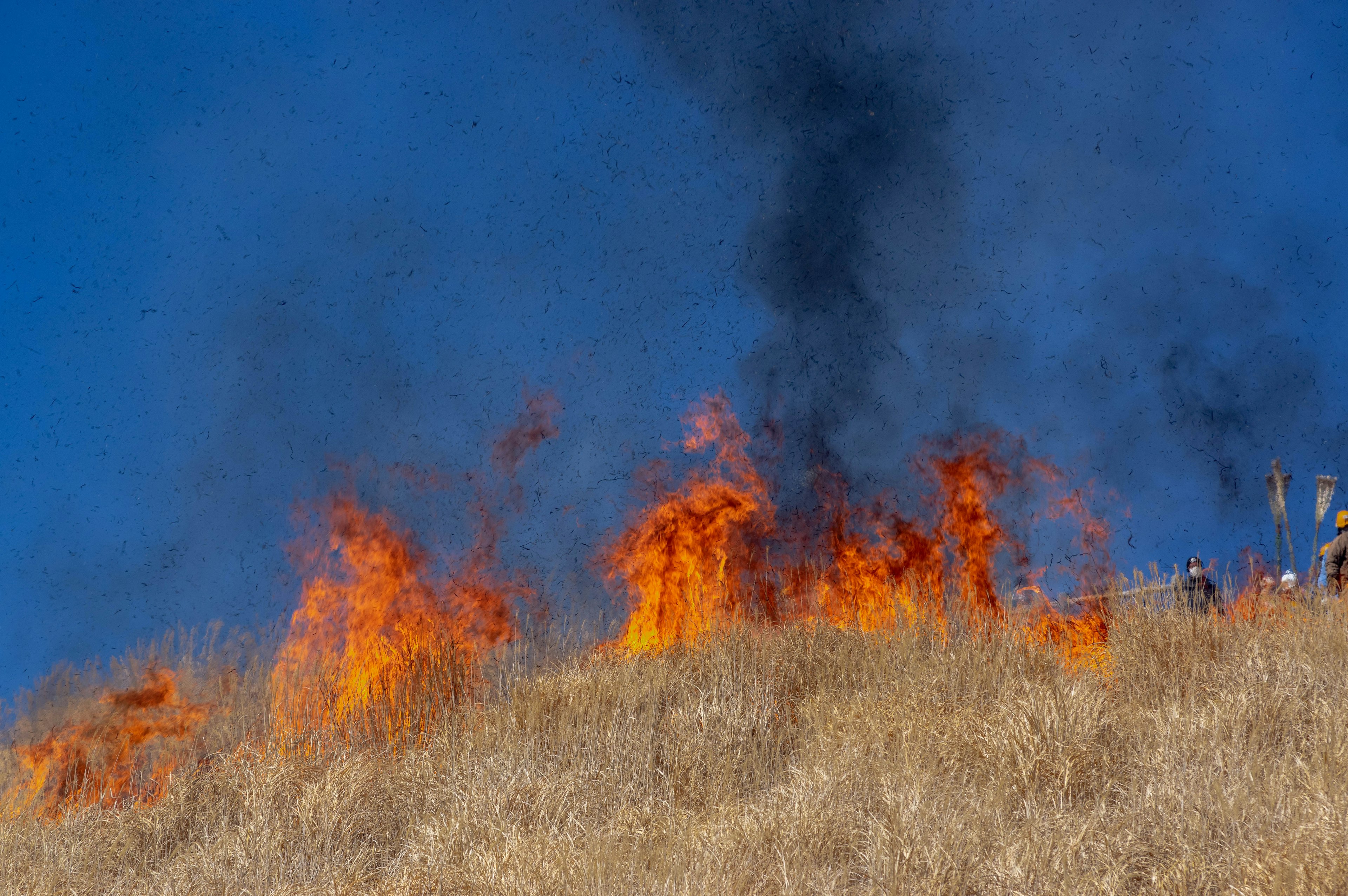 Fiamme che avvolgono una collina erbosa sotto un cielo blu