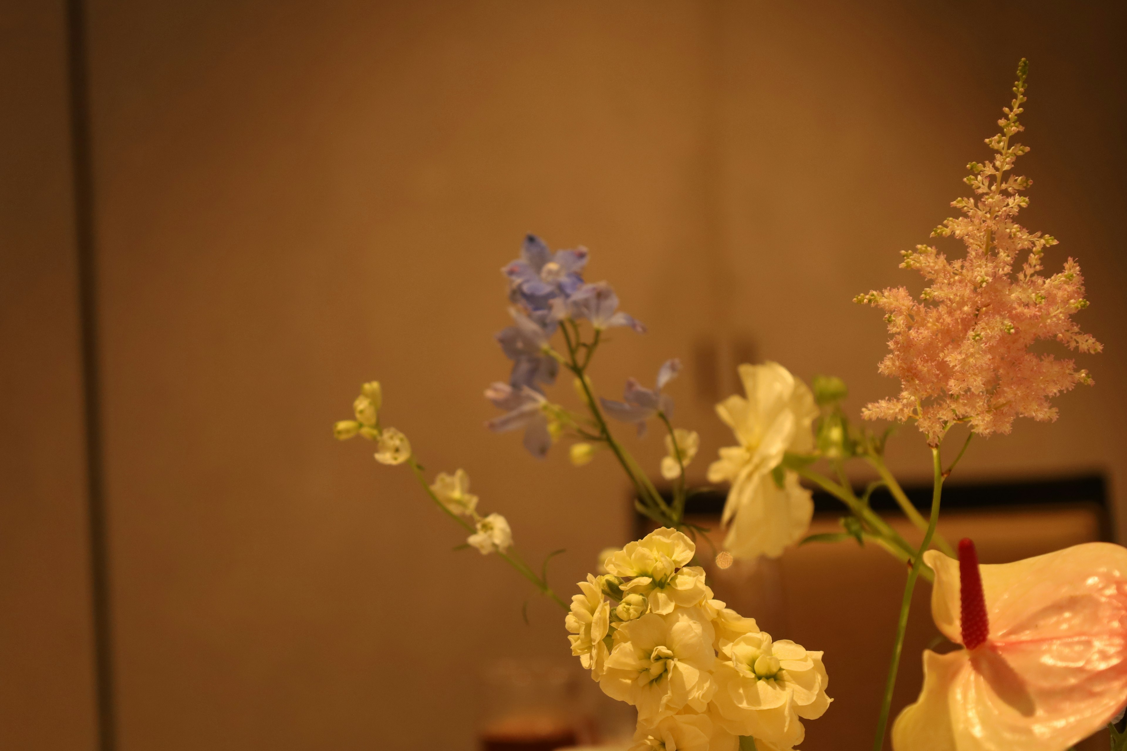 A serene scene of colorful flowers arranged on a table