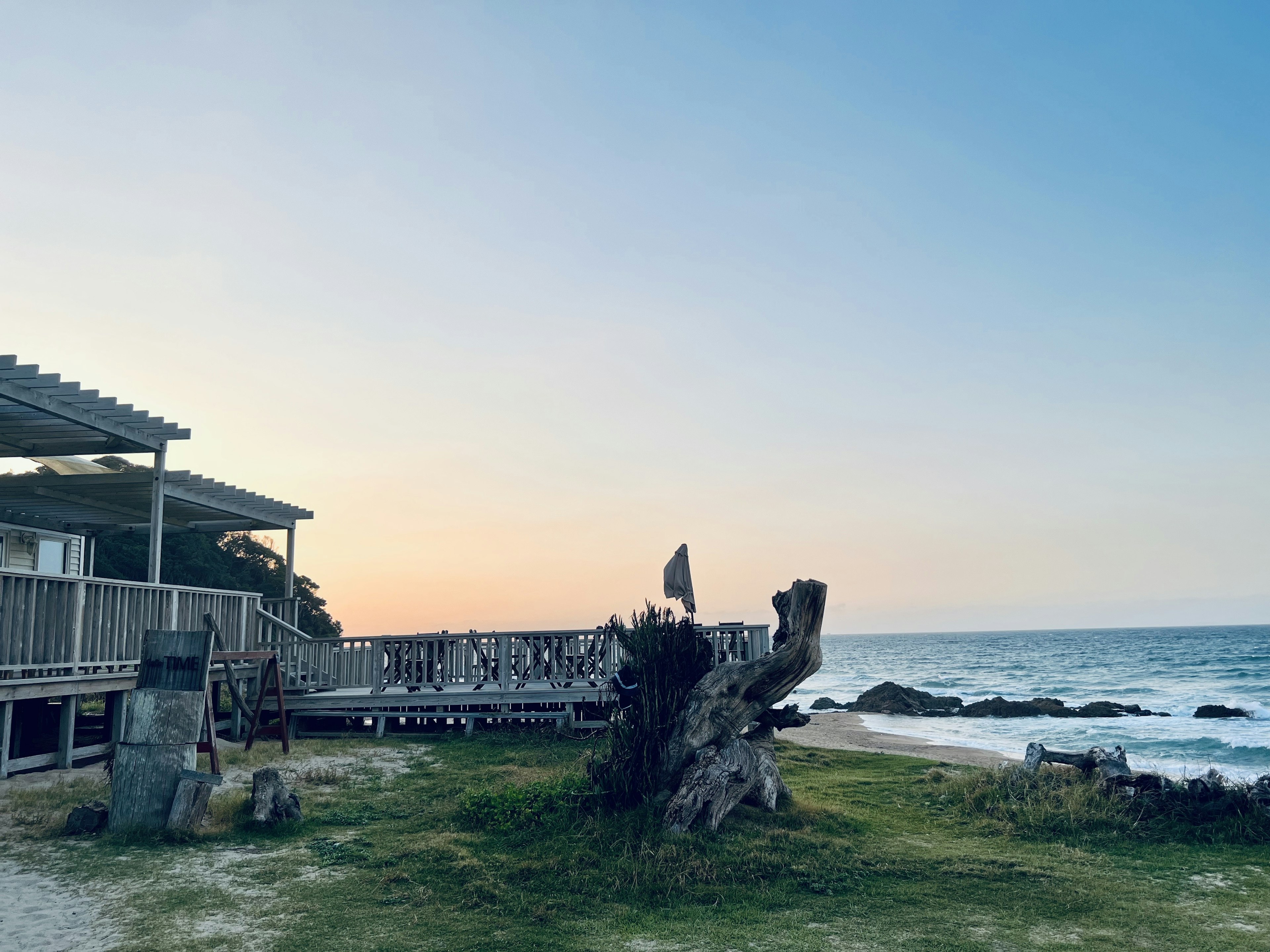 海岸の景色にある木製のデッキと古い木の根元のある風景