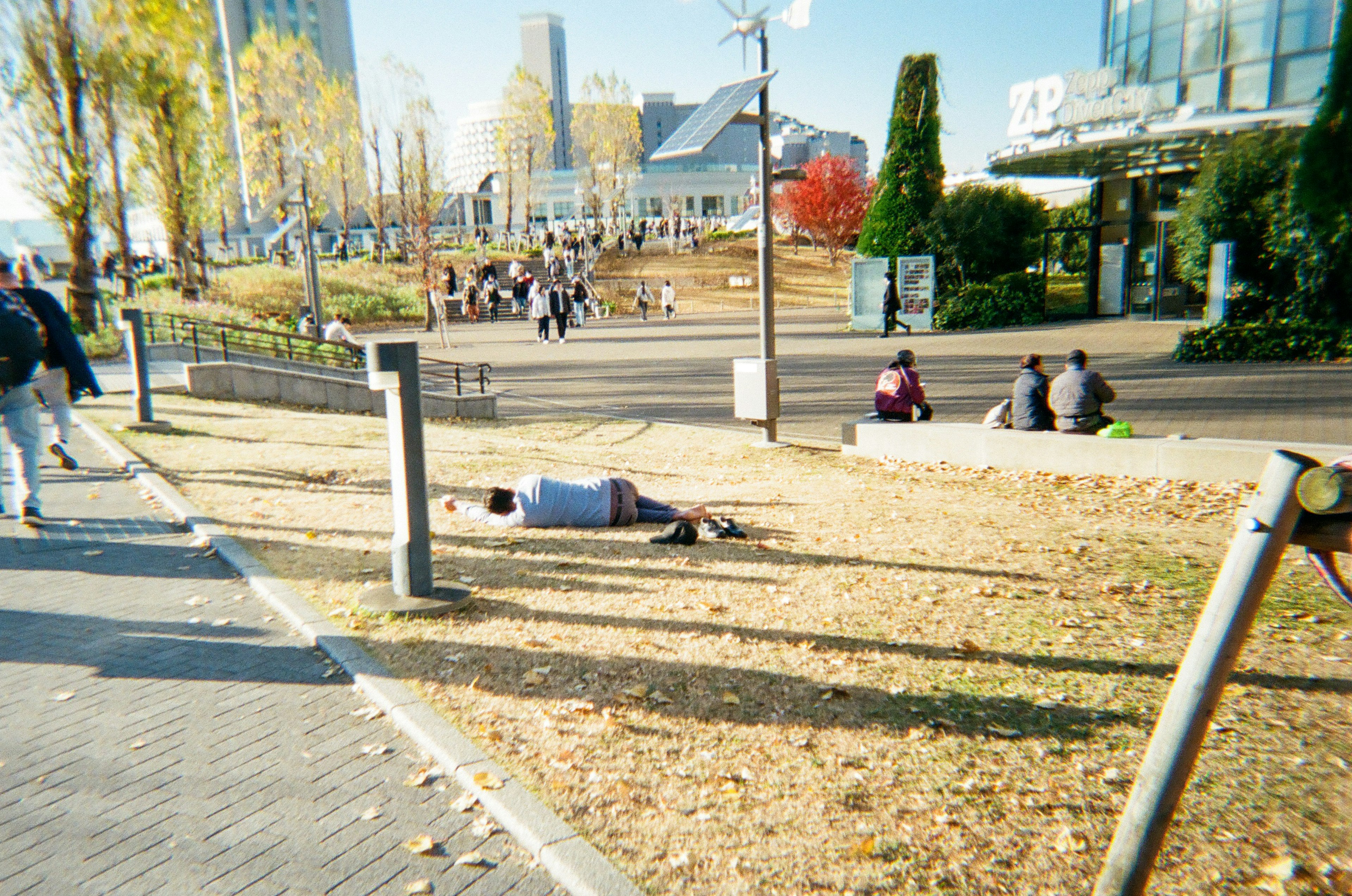 公園でリラックスしている人々の様子と秋の木々