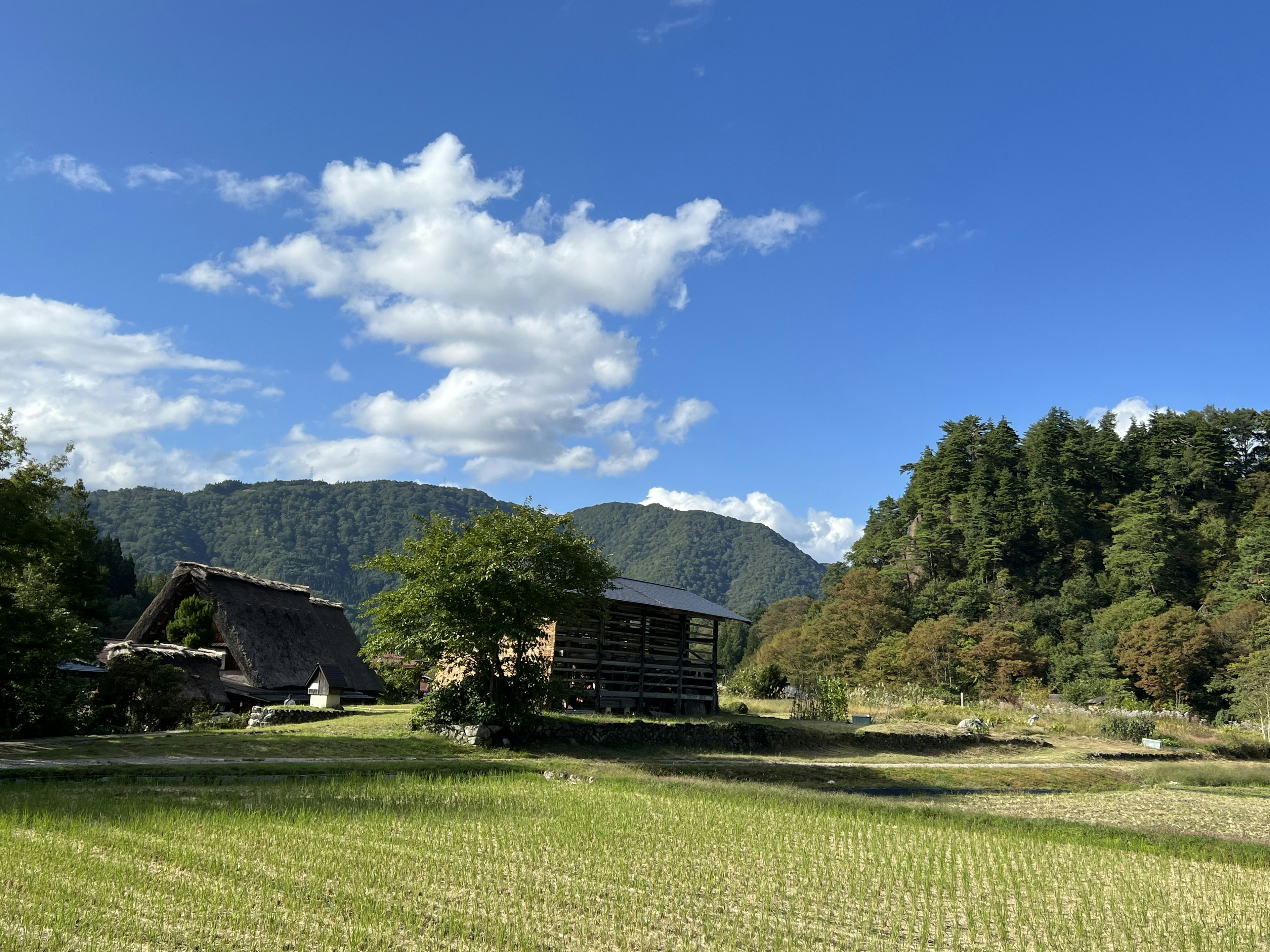 Paisaje rural pintoresco con casas japonesas tradicionales bajo un cielo azul