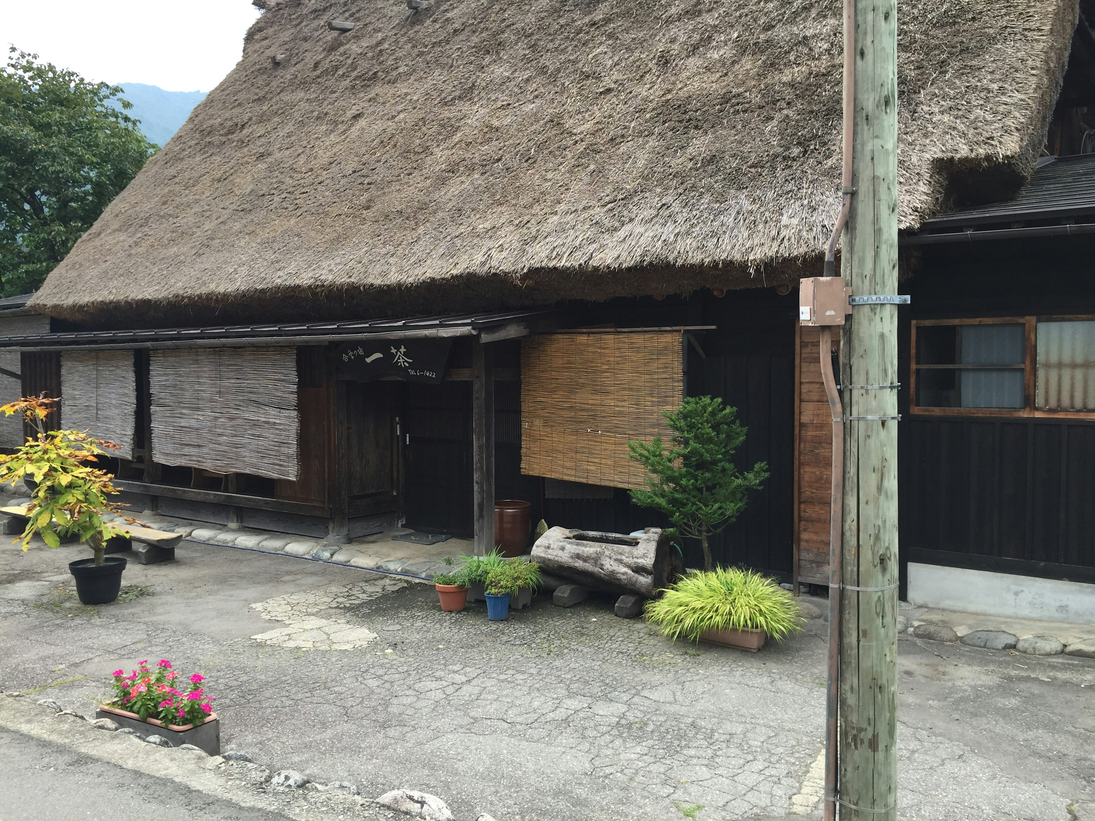 Traditional thatched-roof Japanese house exterior with potted plants and flower beds