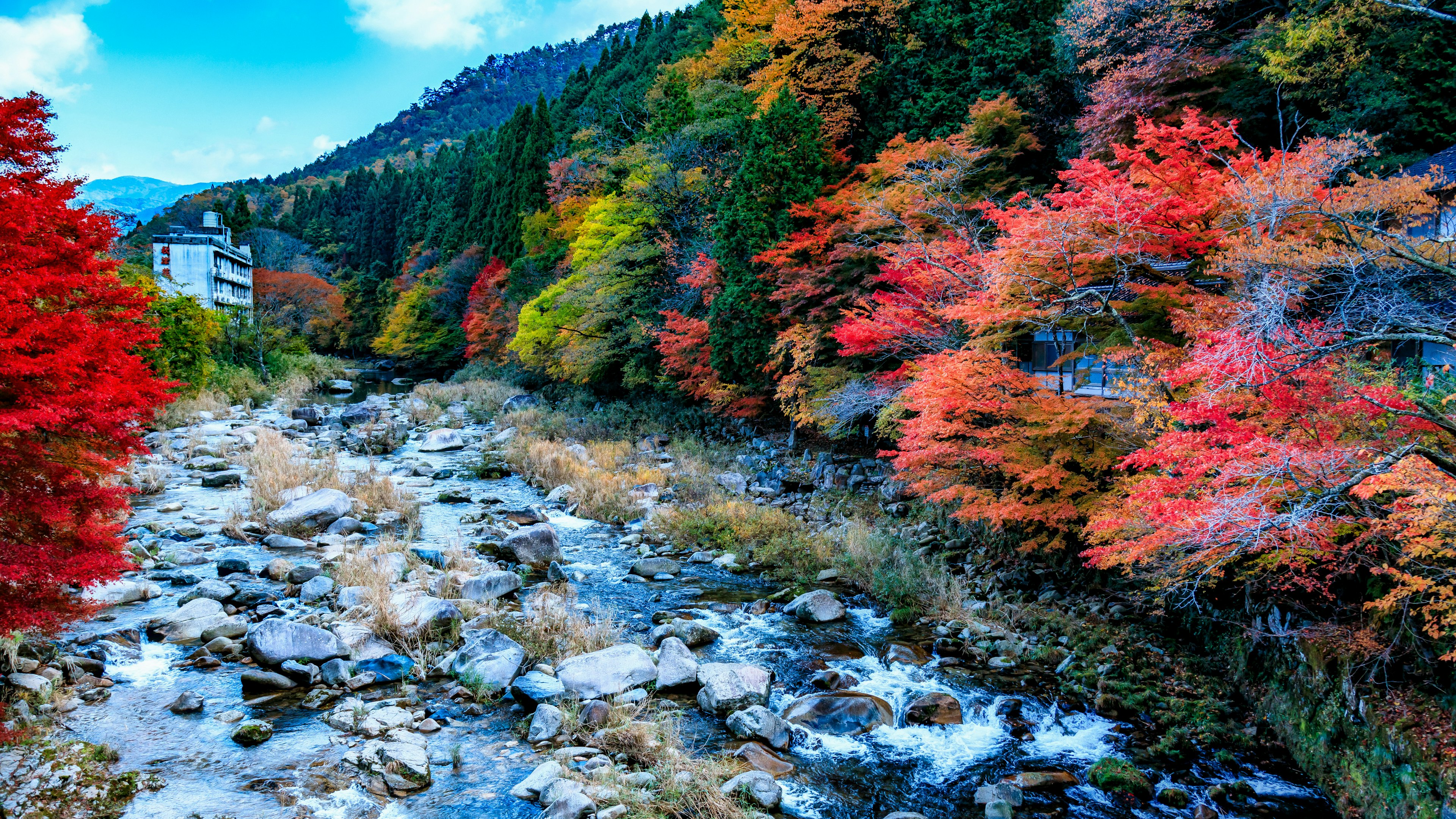 紅葉した木々と流れる川の美しい風景