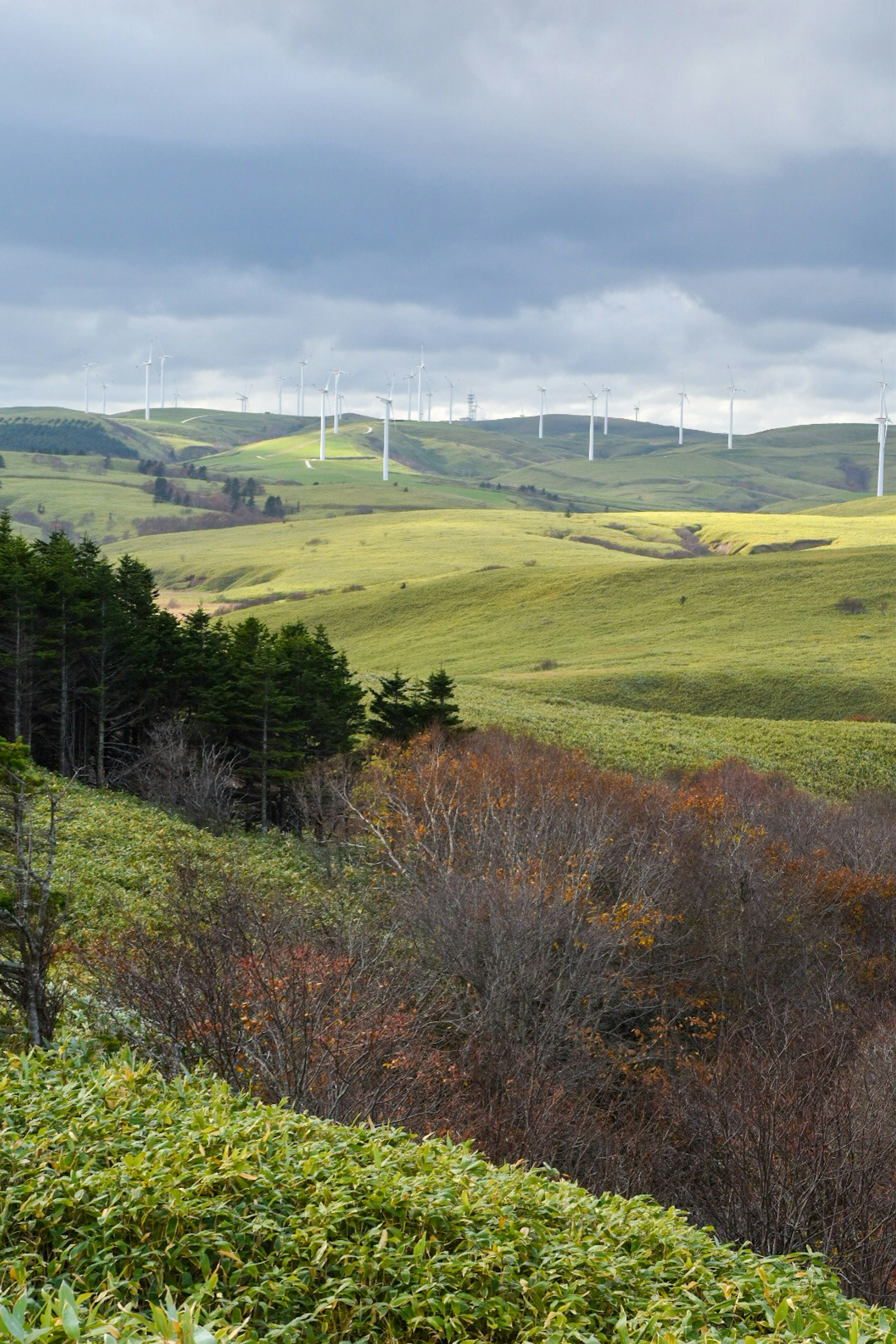 Collines verdoyantes avec des éoliennes visibles