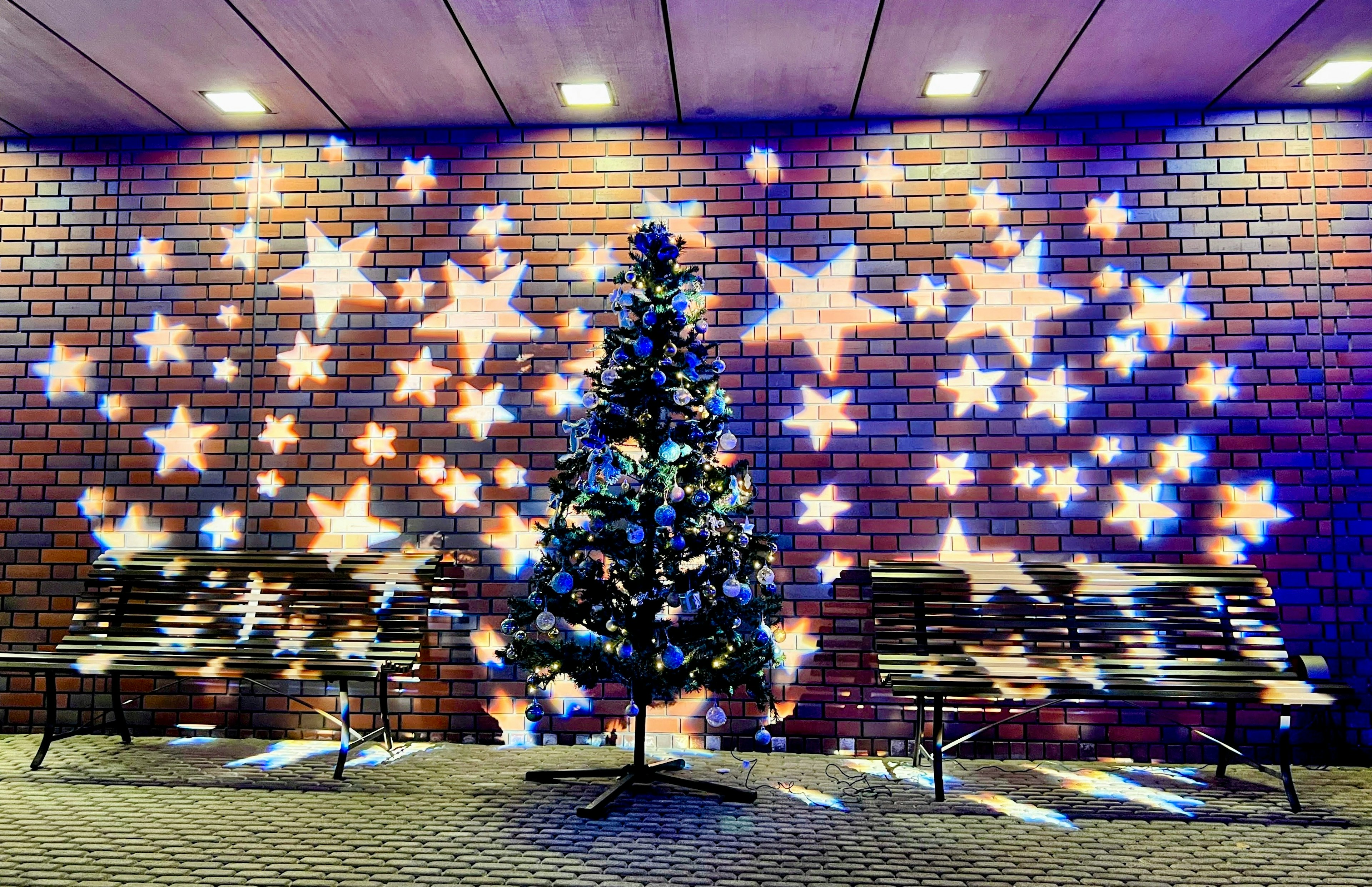 Christmas tree with star projections on a brick wall and benches nearby