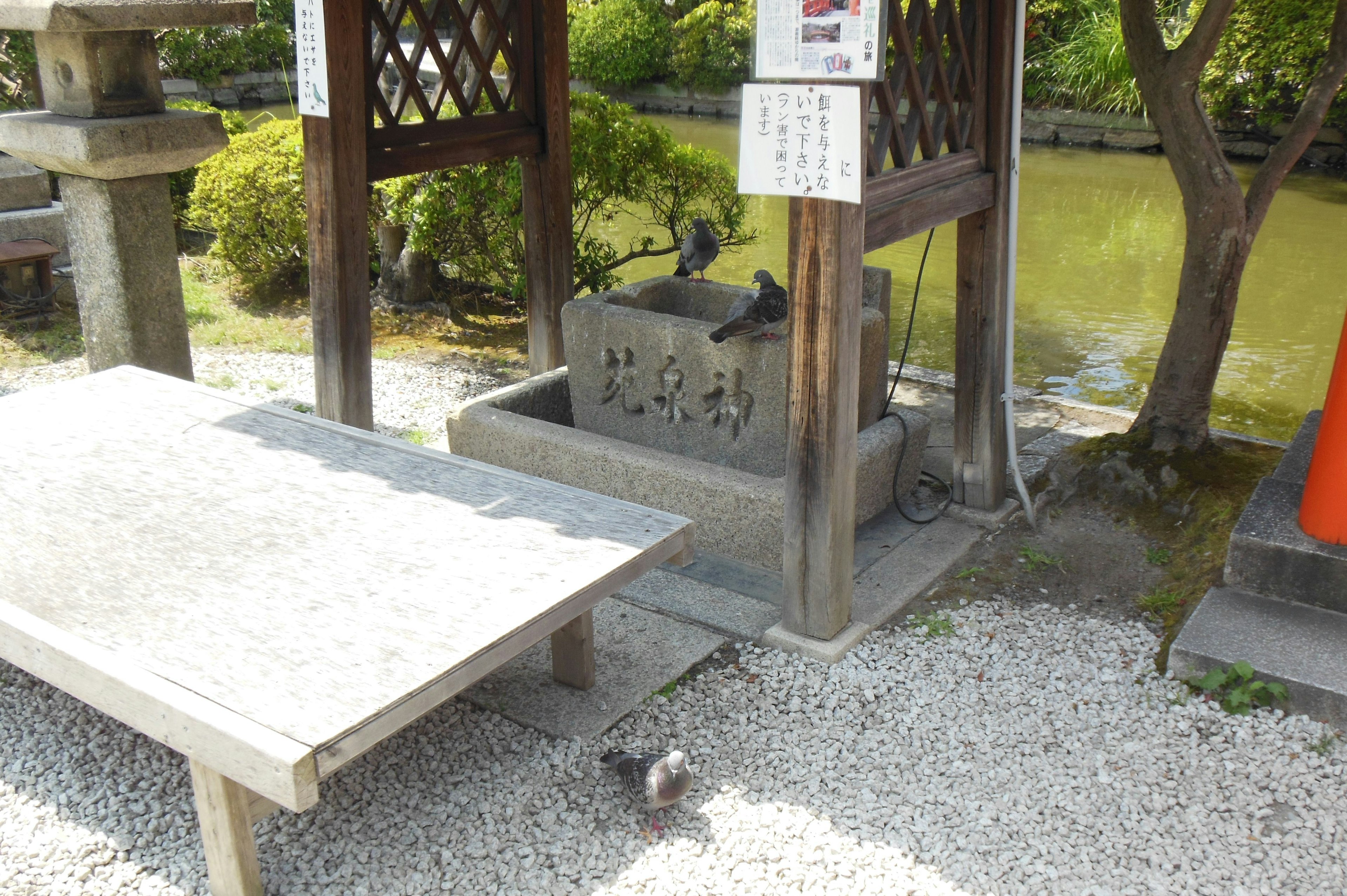 Ruhige Parkszene mit einem Wasserbecken und einem Holztisch