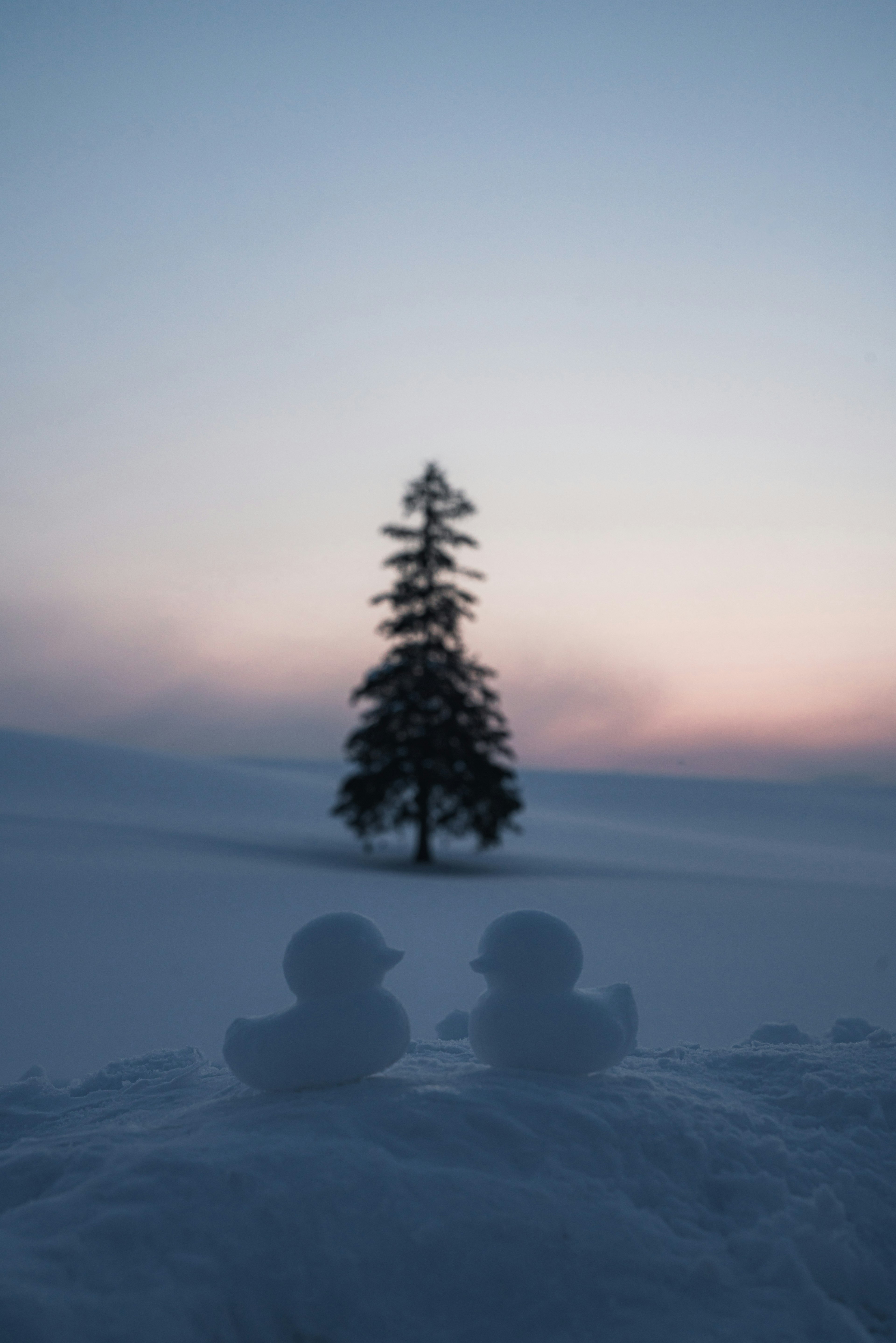 雪に覆われた風景に立つ一本の木とその前にある二つの影