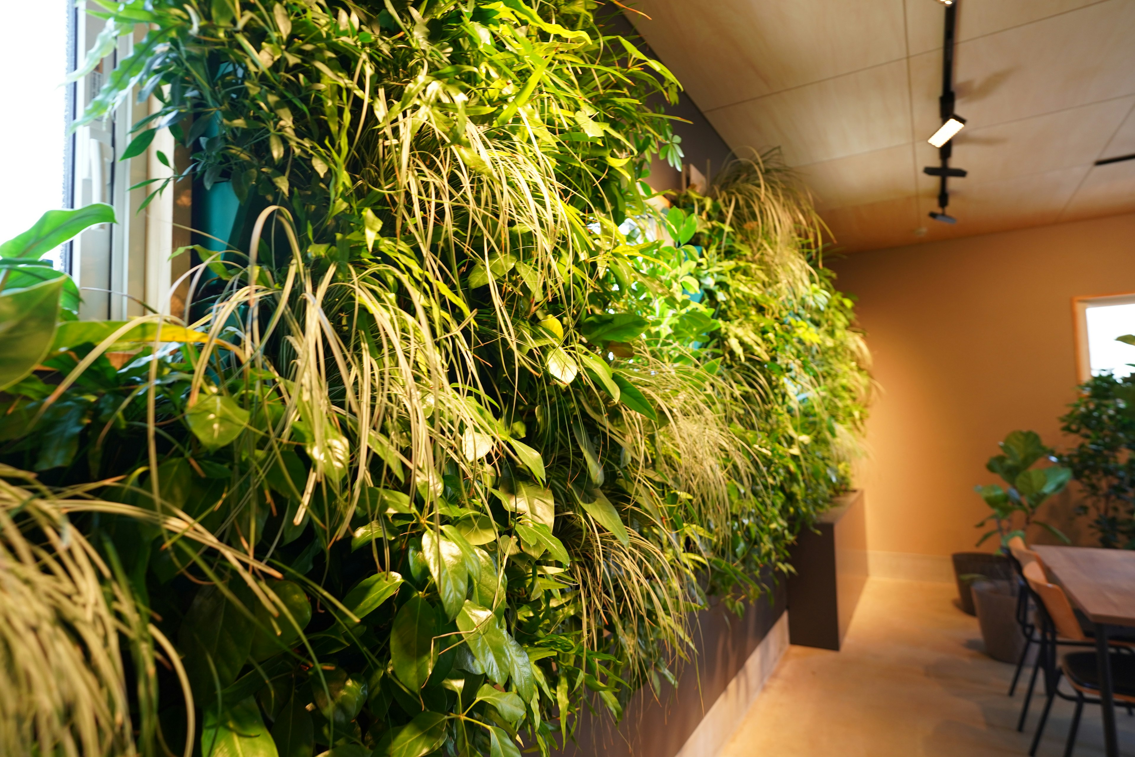 Indoor space featuring a lush vertical garden with various plants