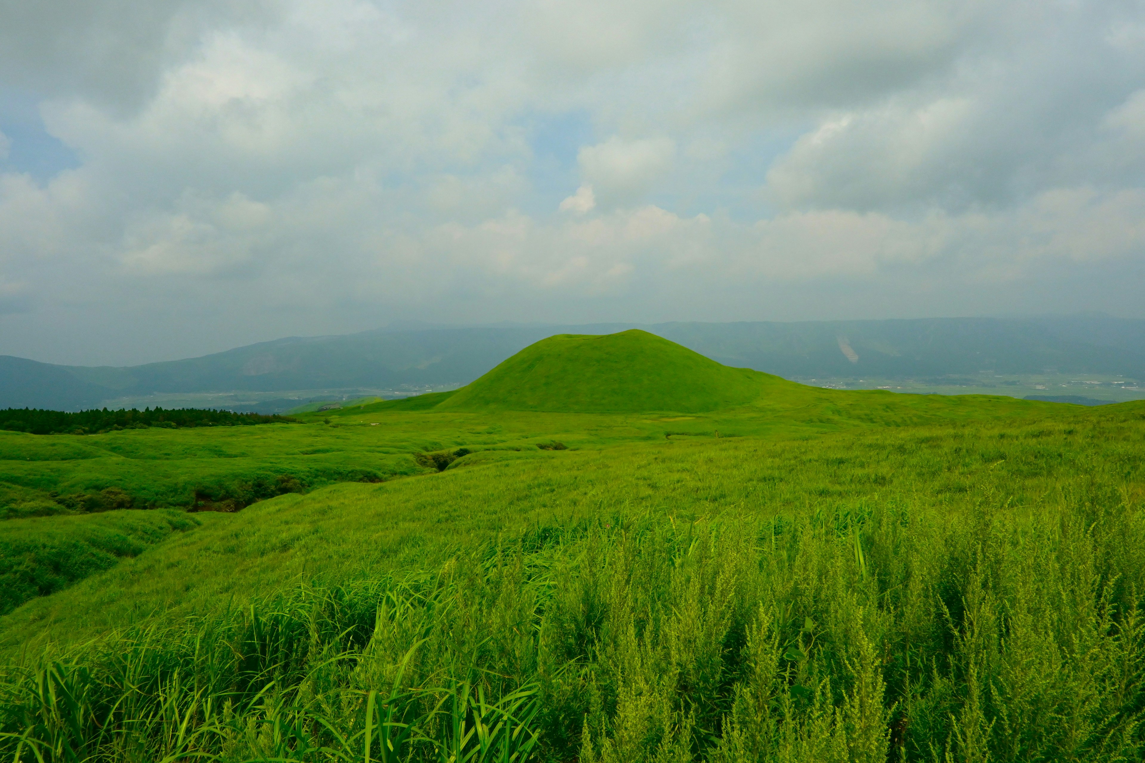 緑の草原と小さな丘が広がる風景