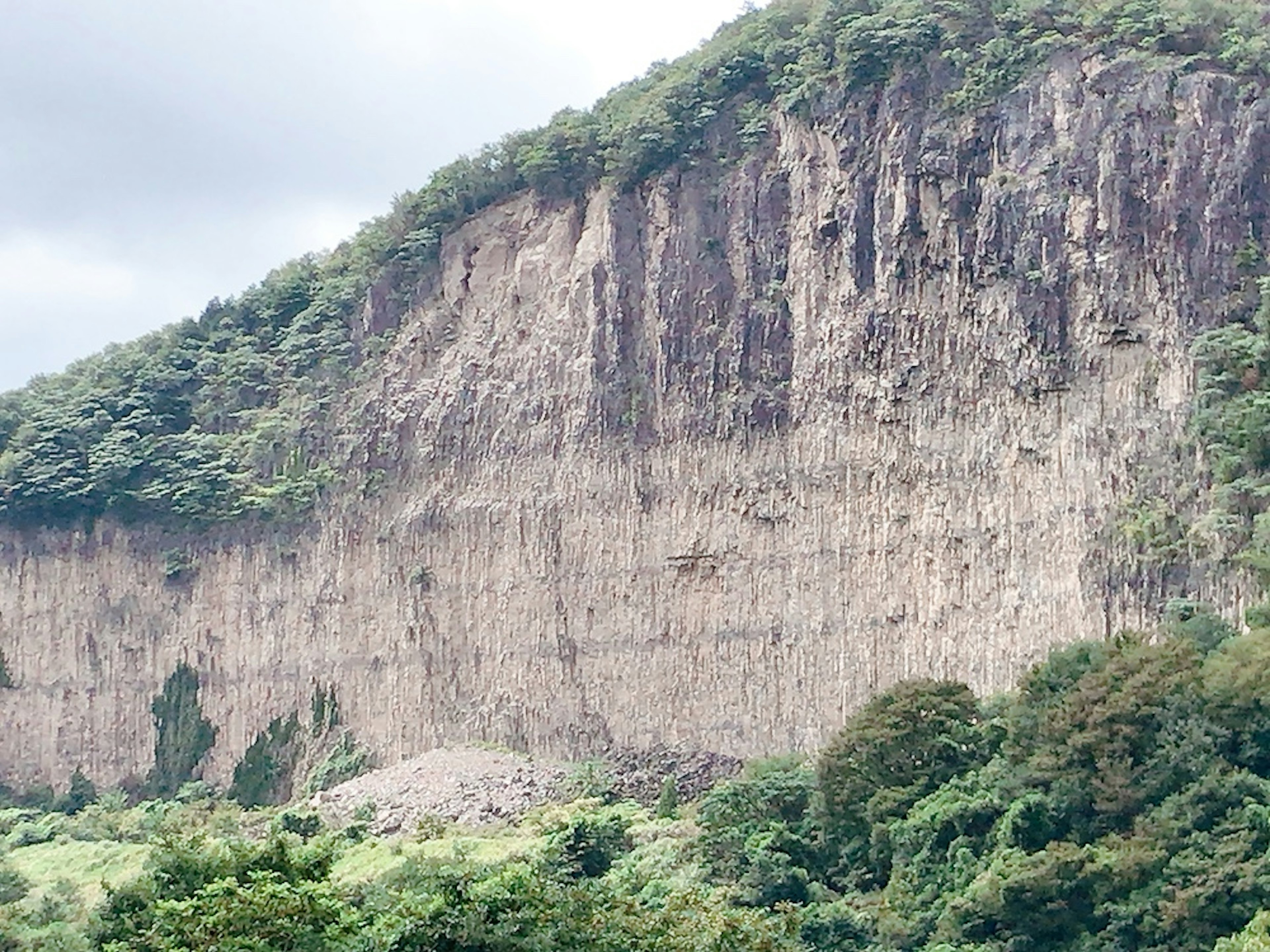 Large cliff surrounded by lush greenery