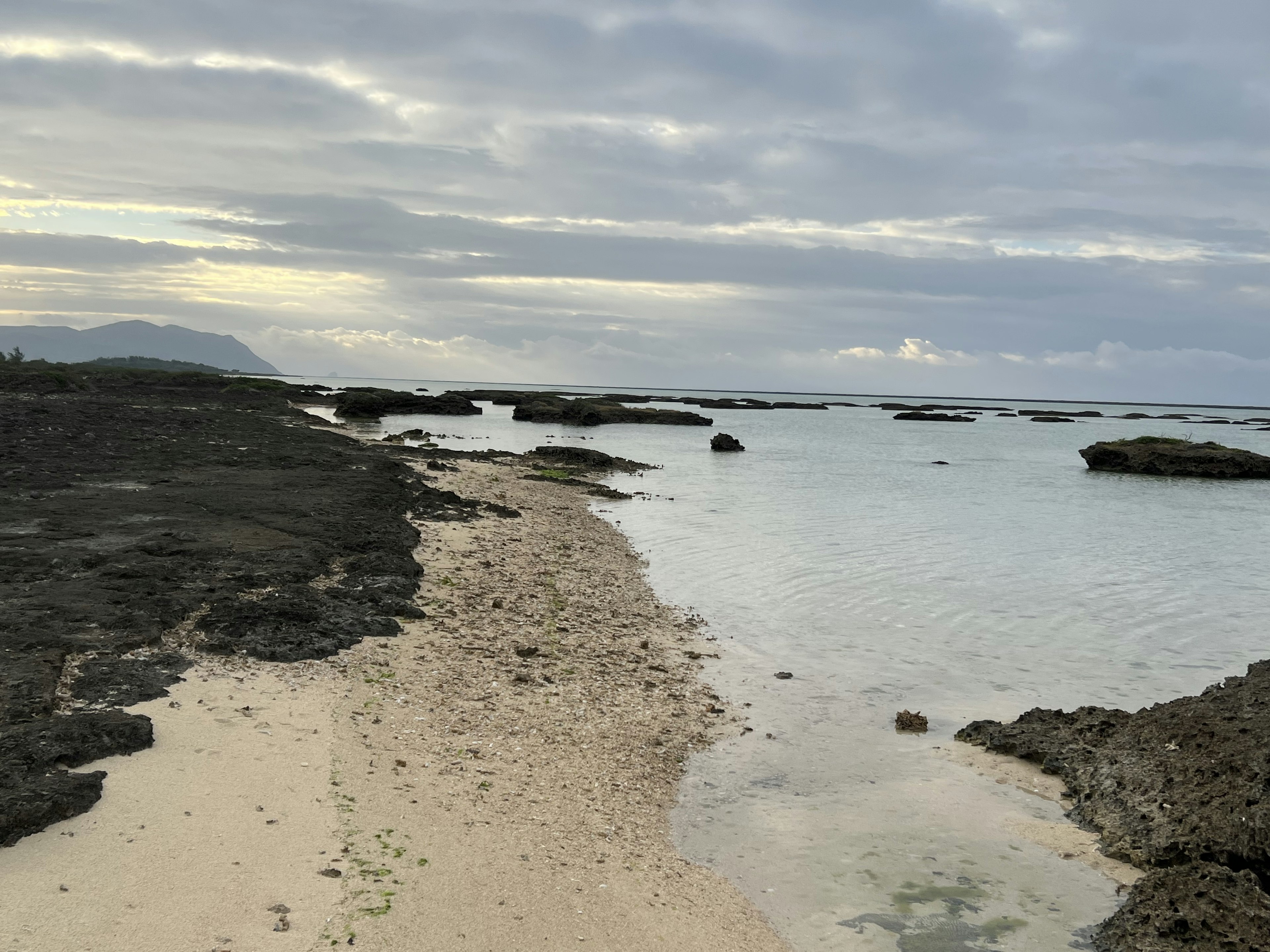 海岸線に沿った砂浜と岩の景色、曇り空の下で静かな海が広がる