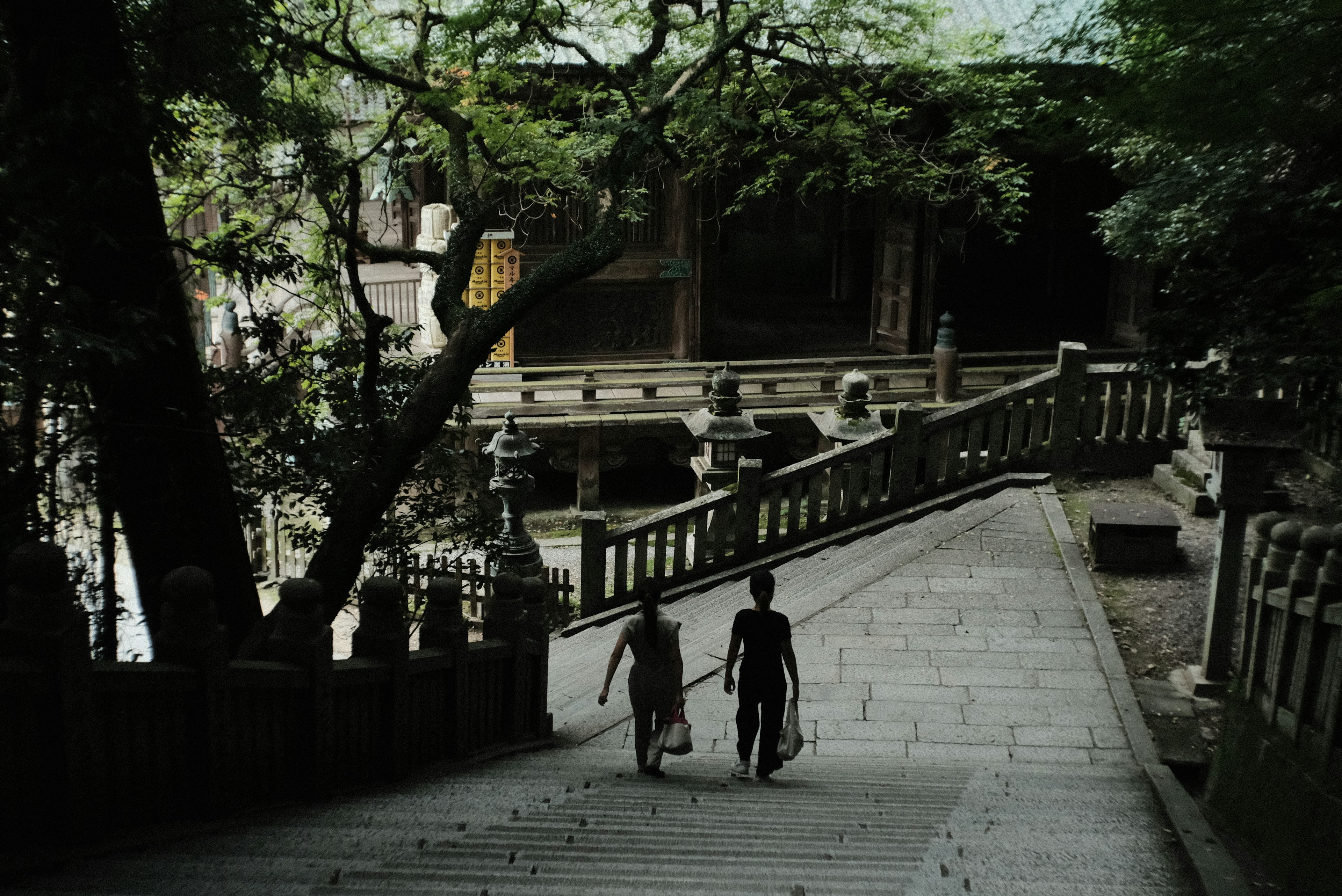 二人の子供が石段を下る風景 緑の木々と古い建物が背景