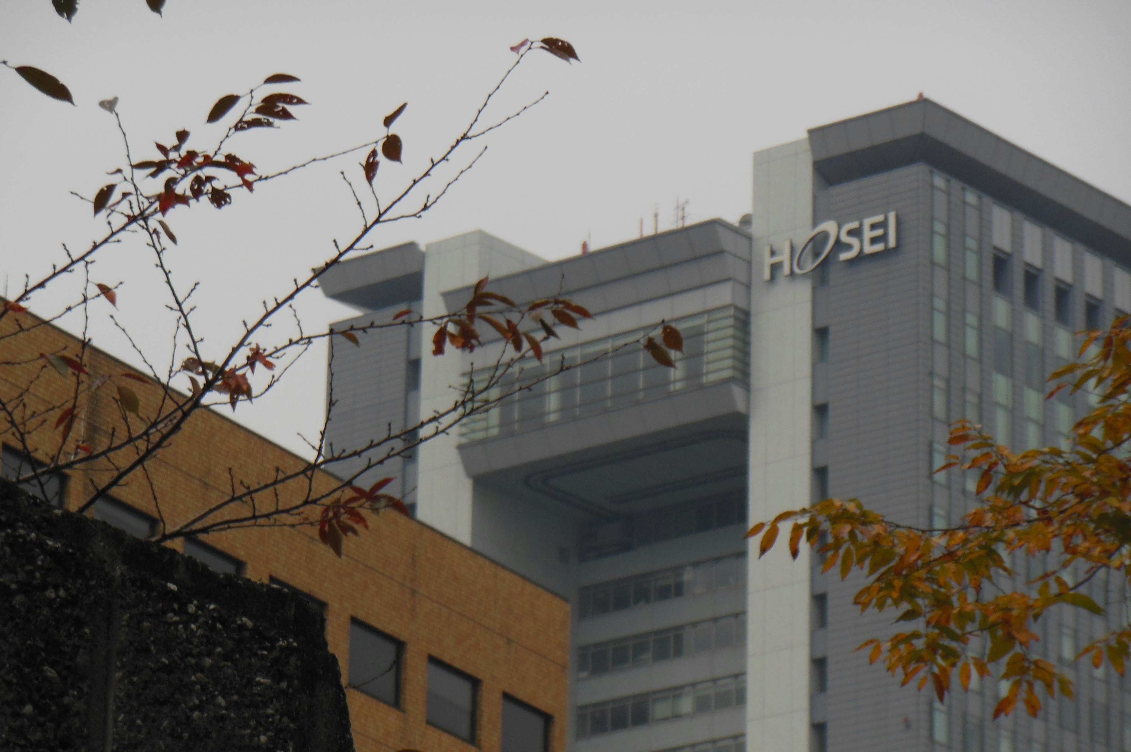 Edificio moderno de la Universidad Hosei parcialmente oculto por la niebla