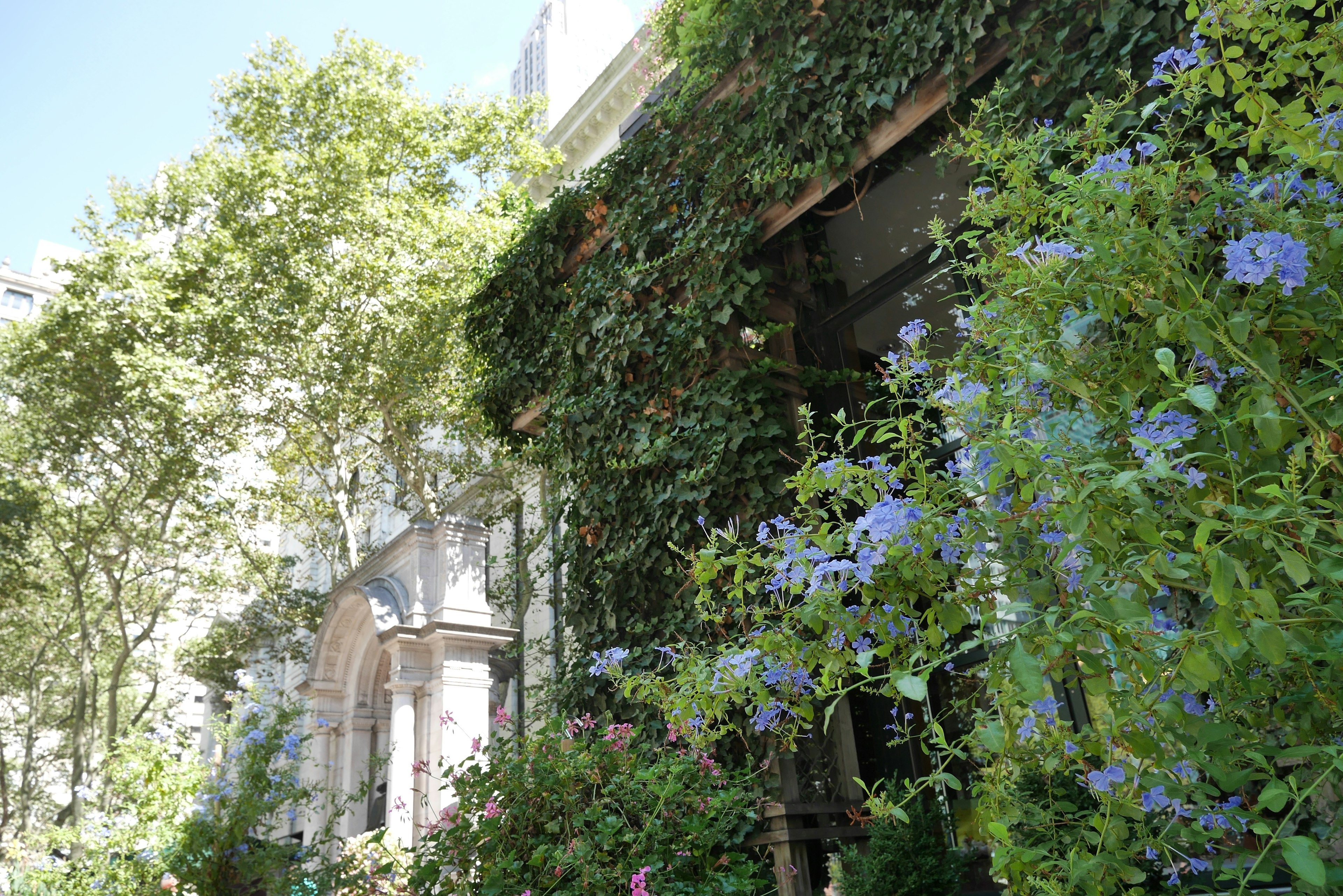 Façade d'un bâtiment entouré de fleurs bleues et de feuilles vertes