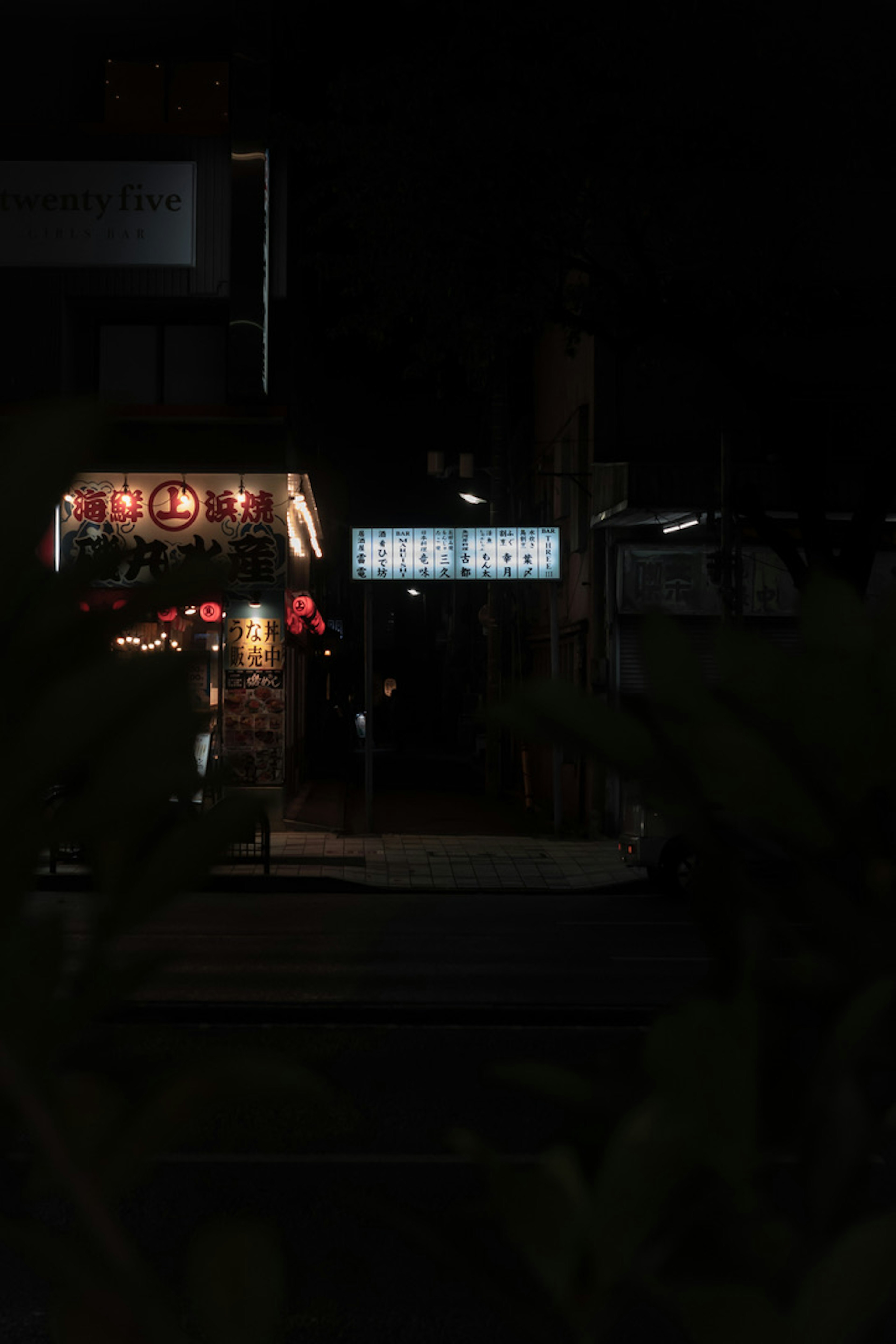 暗い背景に明るい店の看板と花の飾りが映える夜の風景