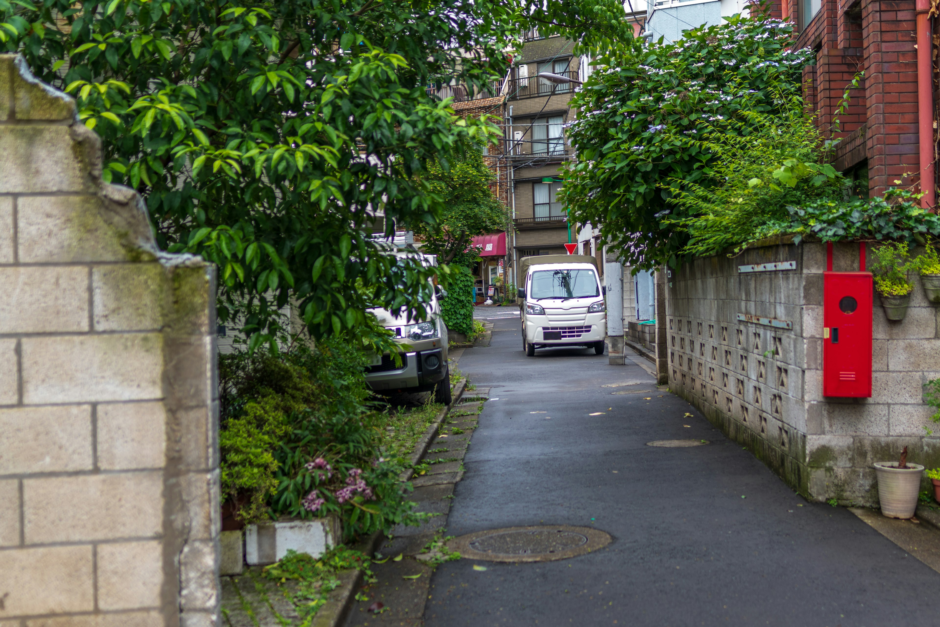 Narrow street lined with green trees featuring a white van