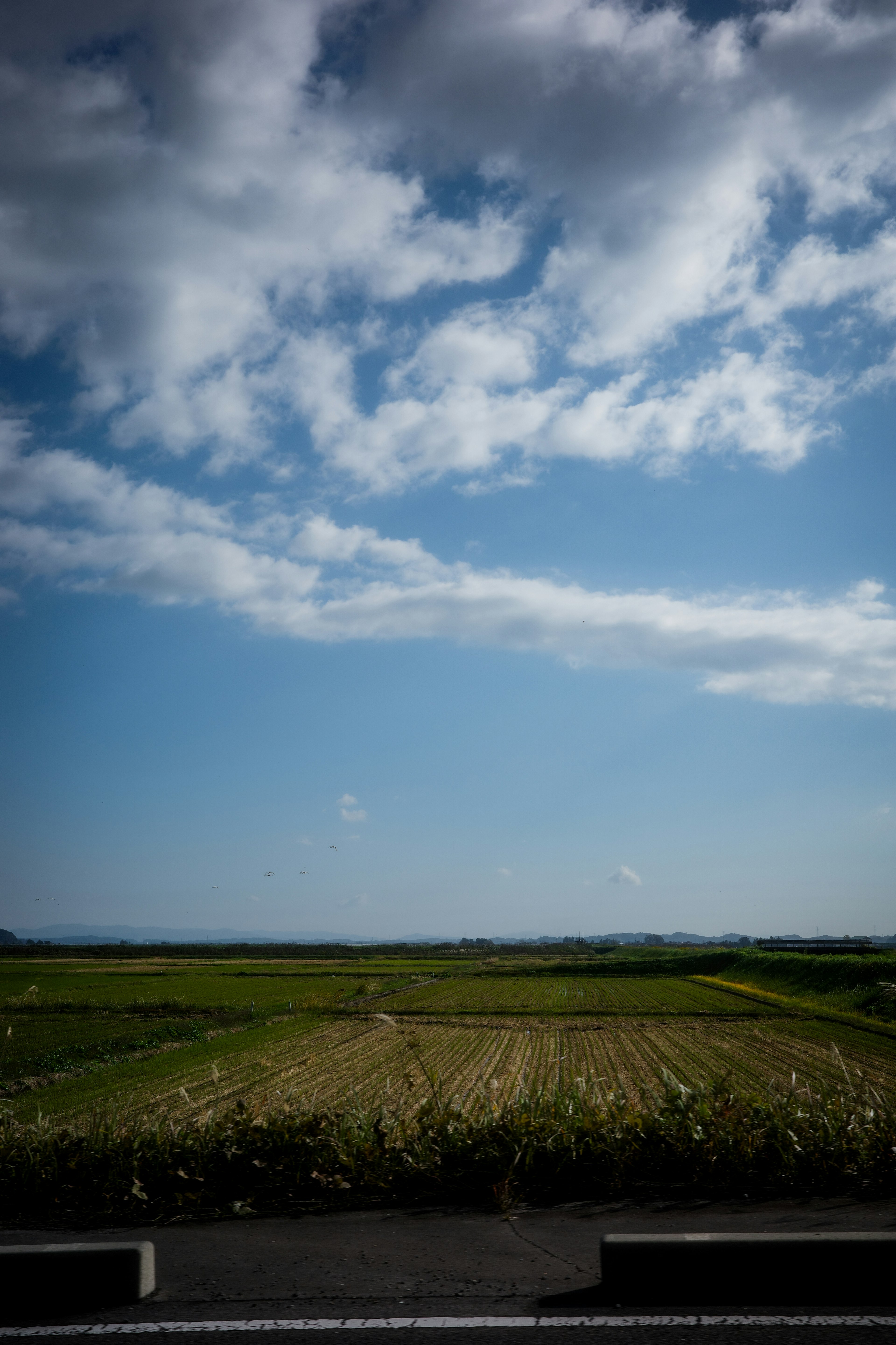 Lanskap dengan langit biru dan awan putih di atas ladang hijau