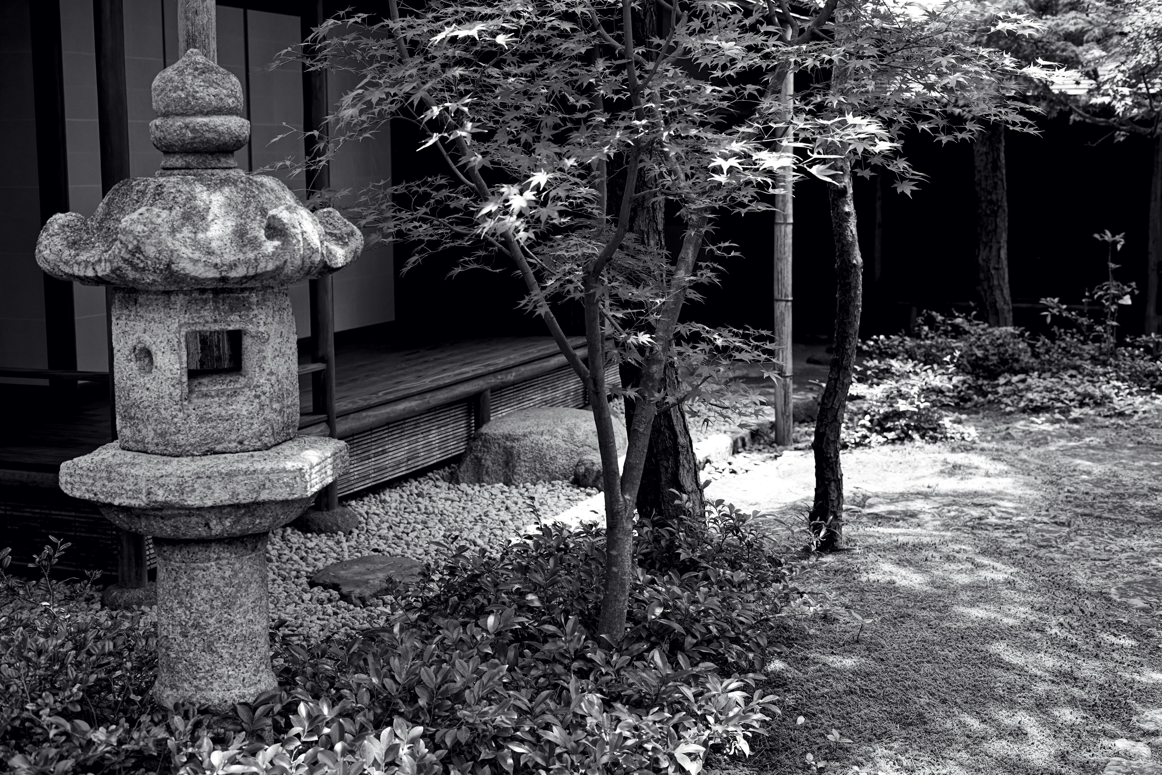 日本の庭にある石灯籠と木々の風景