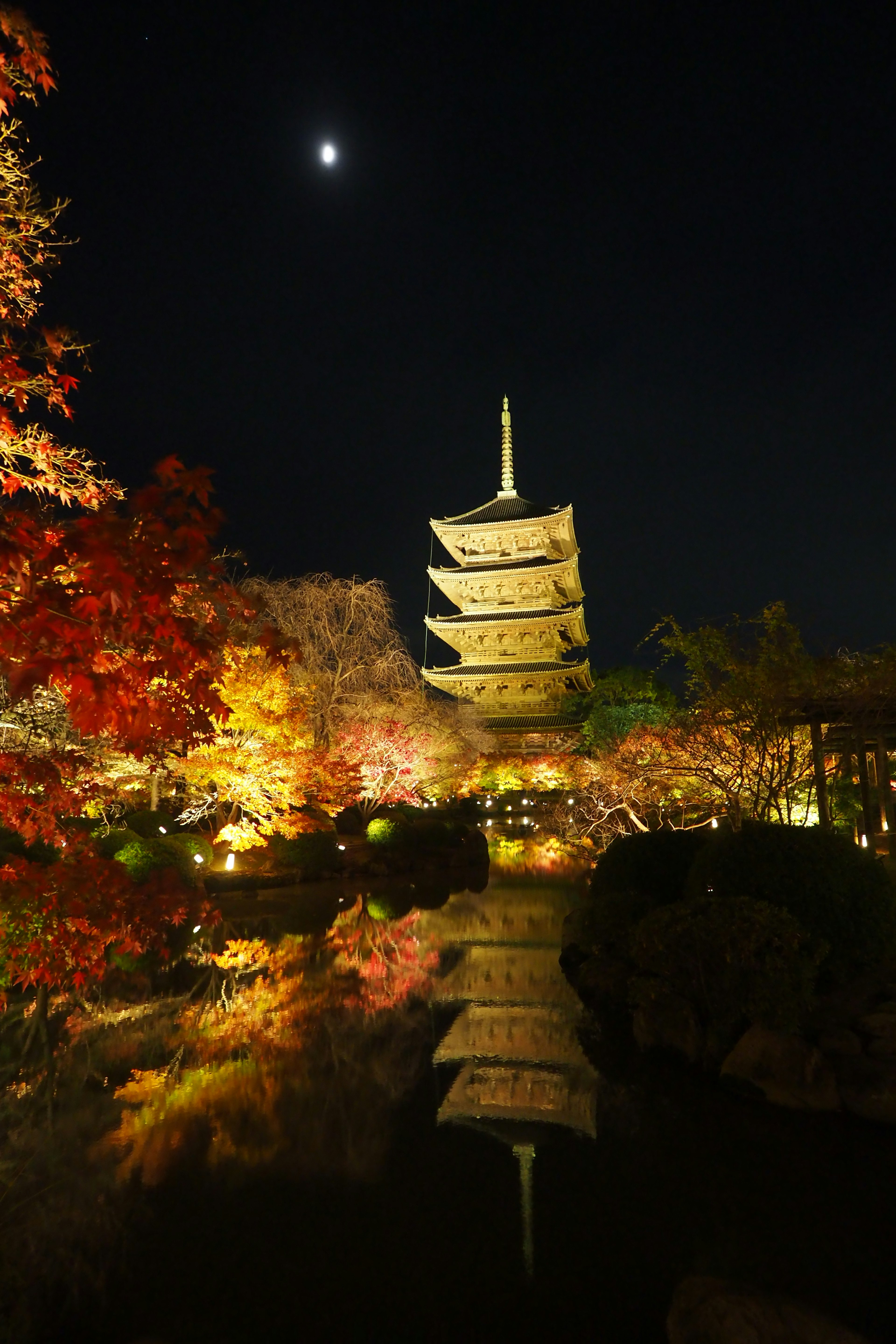 Hermosa pagoda reflejada en el agua rodeada de follaje otoñal por la noche