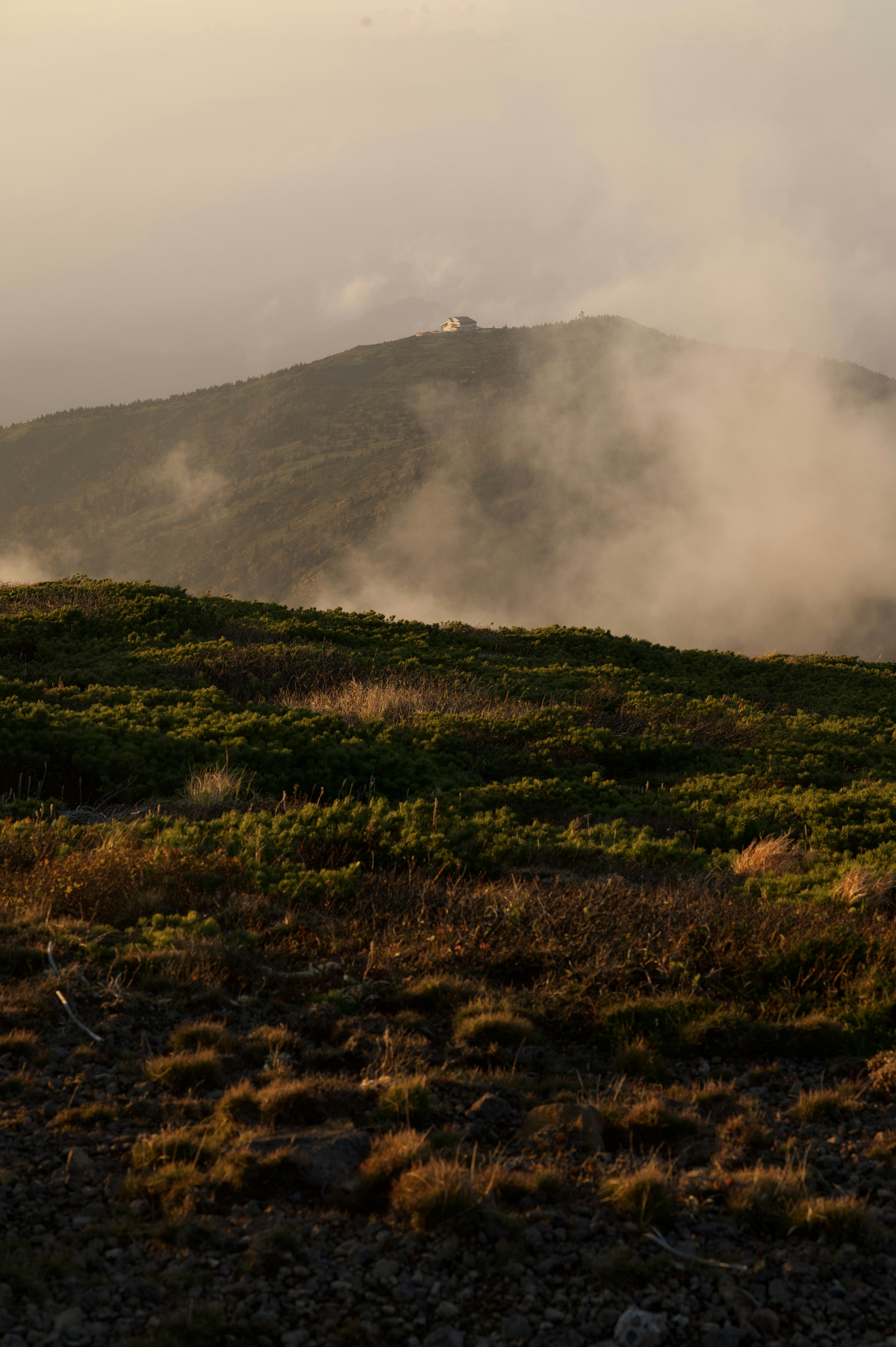 Paisaje montañoso envuelto en niebla hierba verde y rocas en primer plano luz suave del atardecer