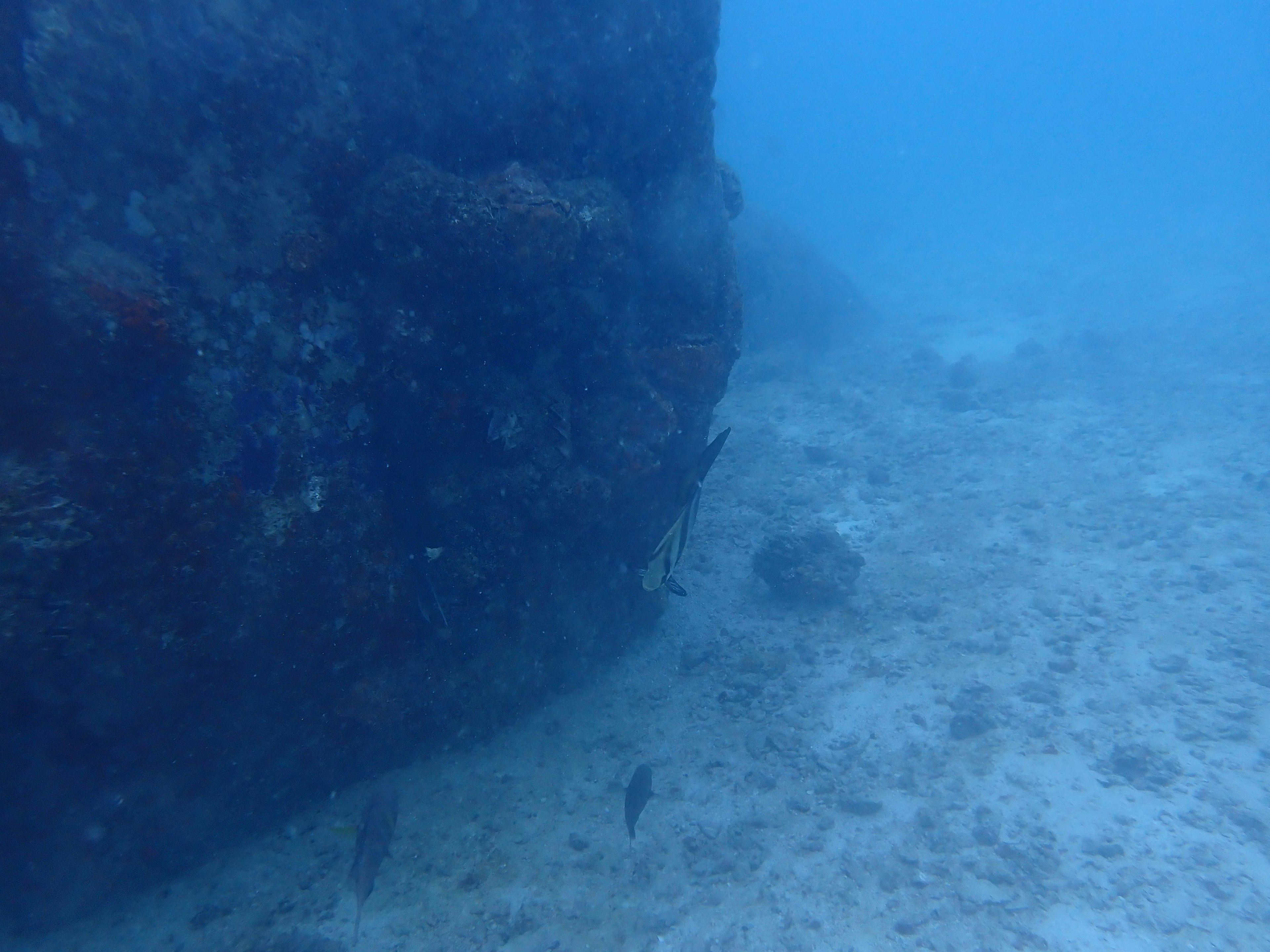 Underwater scene featuring a rock and sandy seabed