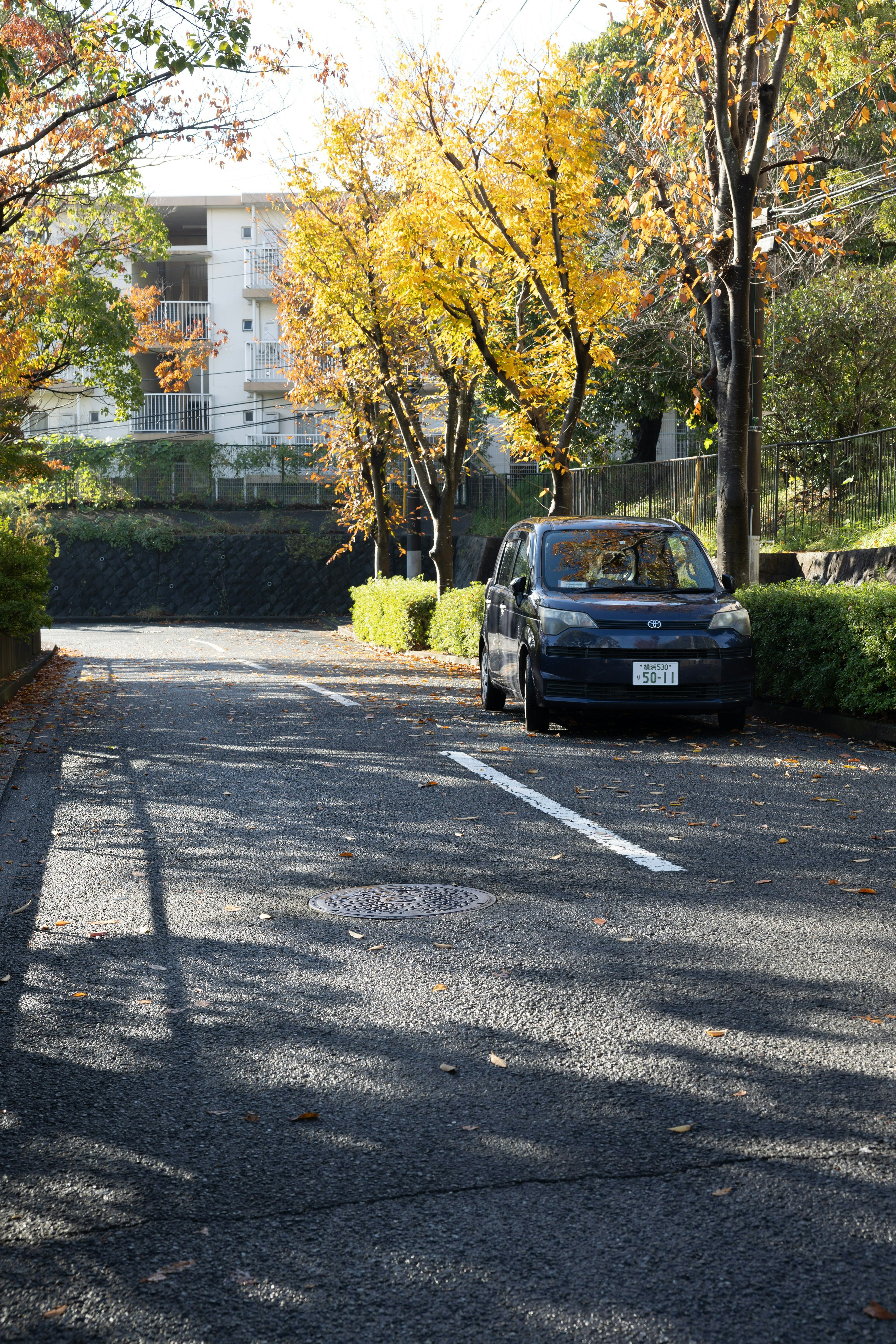 Un'auto nera parcheggiata su una strada tranquilla circondata da alberi autunnali