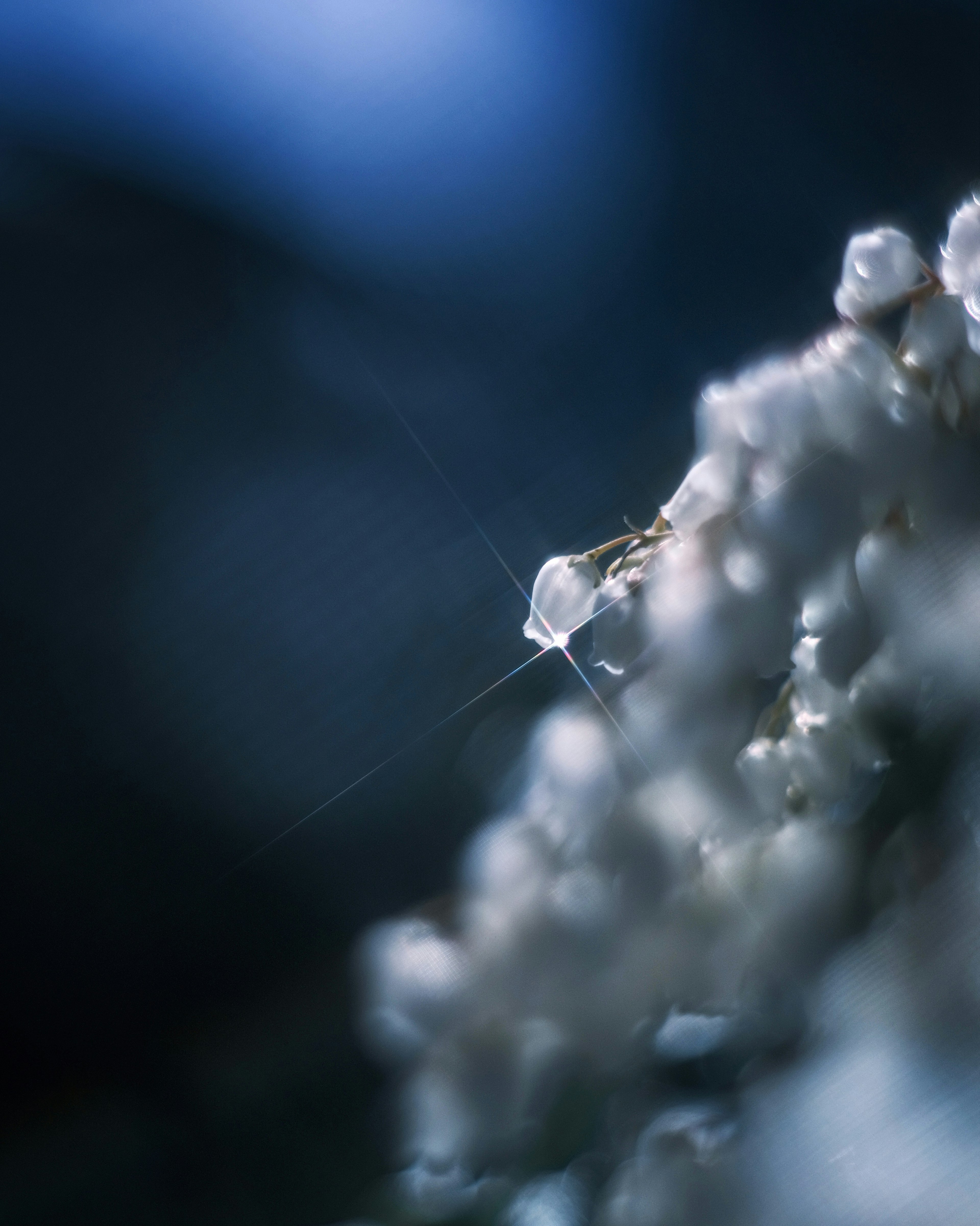 Image en gros plan avec de fines particules blanches sur fond bleu